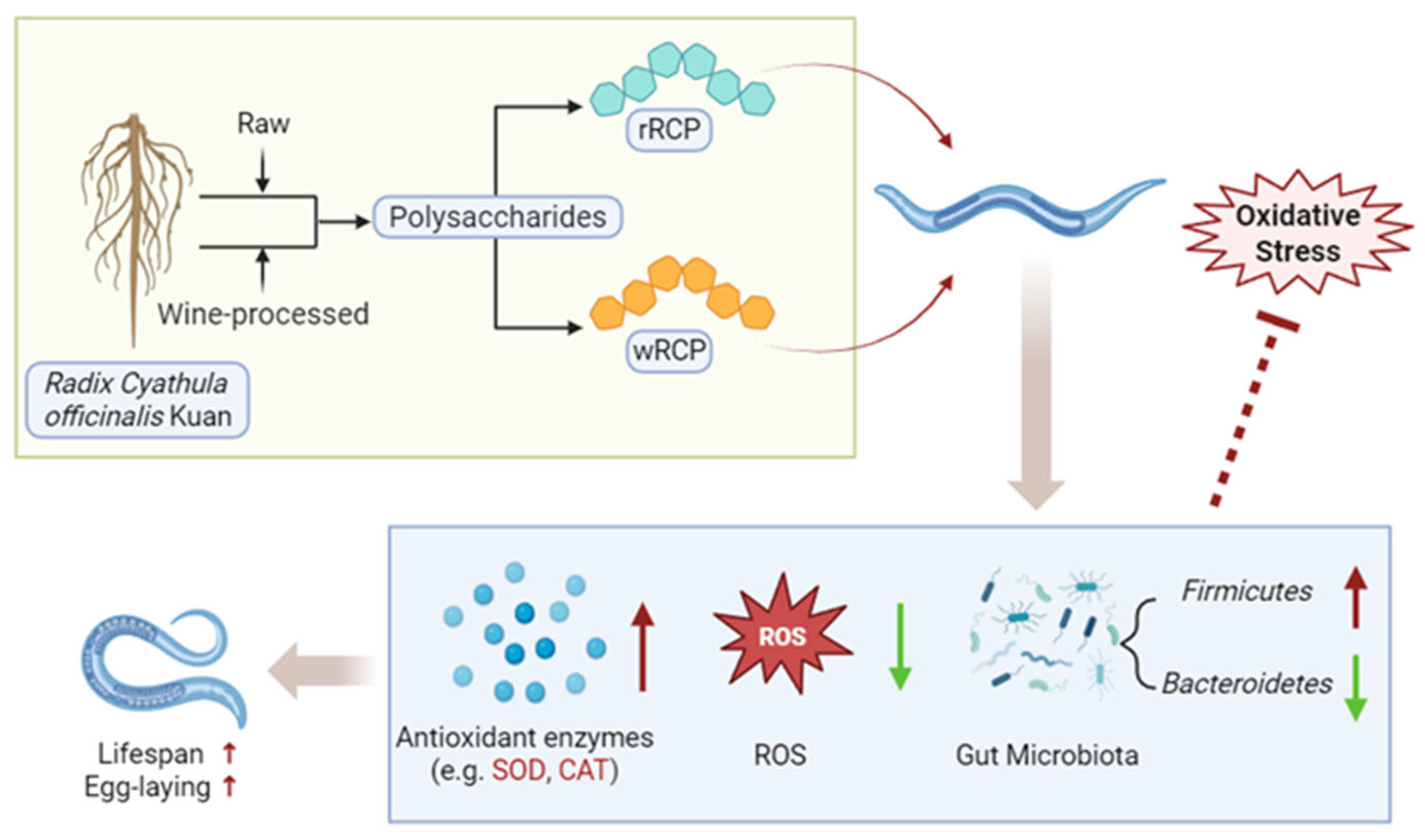 Cimb 47 00538 g006 Cimb 47 00538 g006