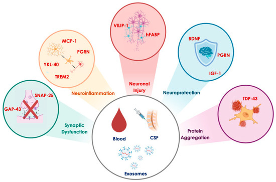 From Amyloid to Synaptic Dysfunction: Biomarker-Driven
