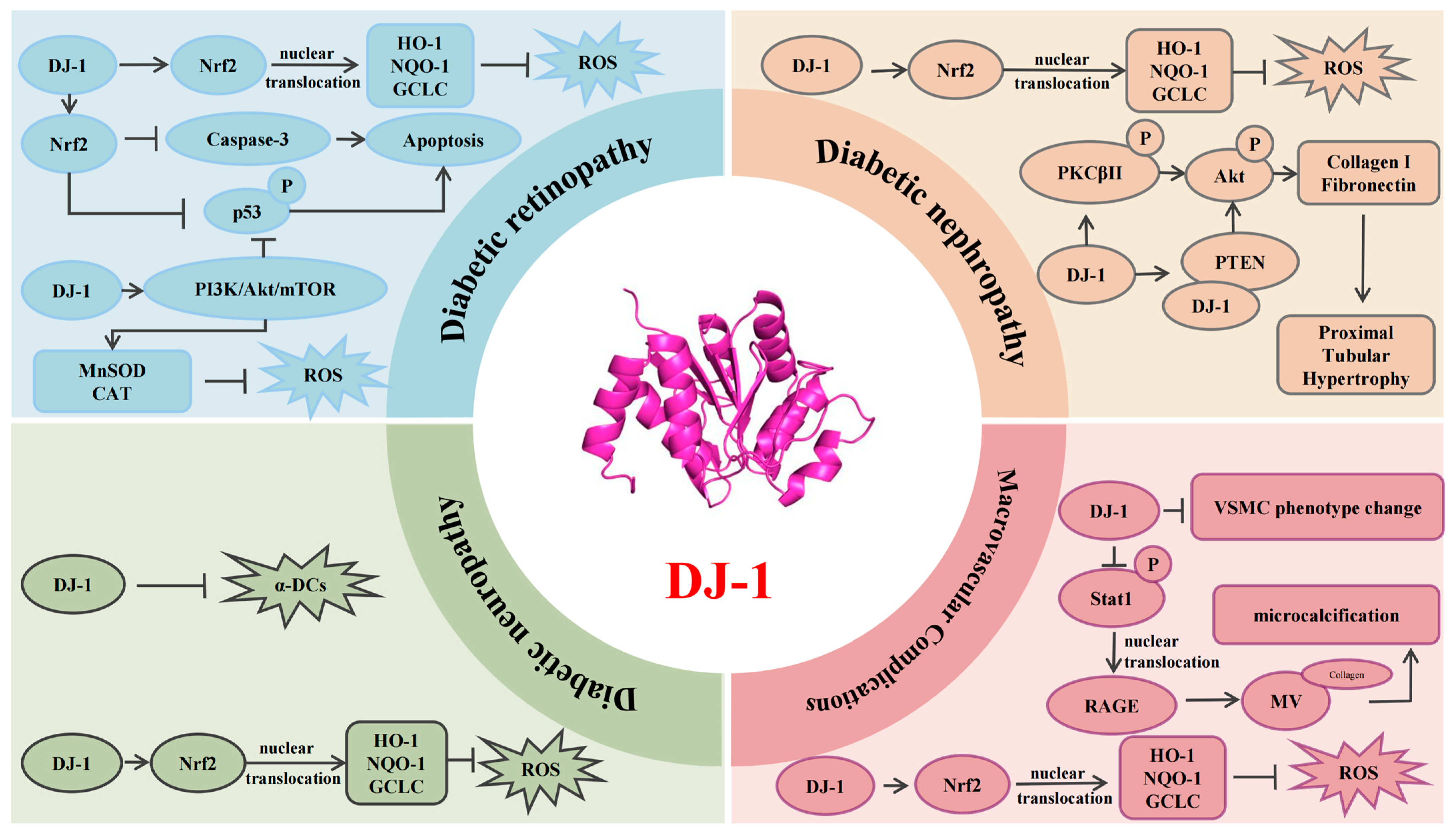 Cimb 47 00613 g002 Cimb 47 00613 g002