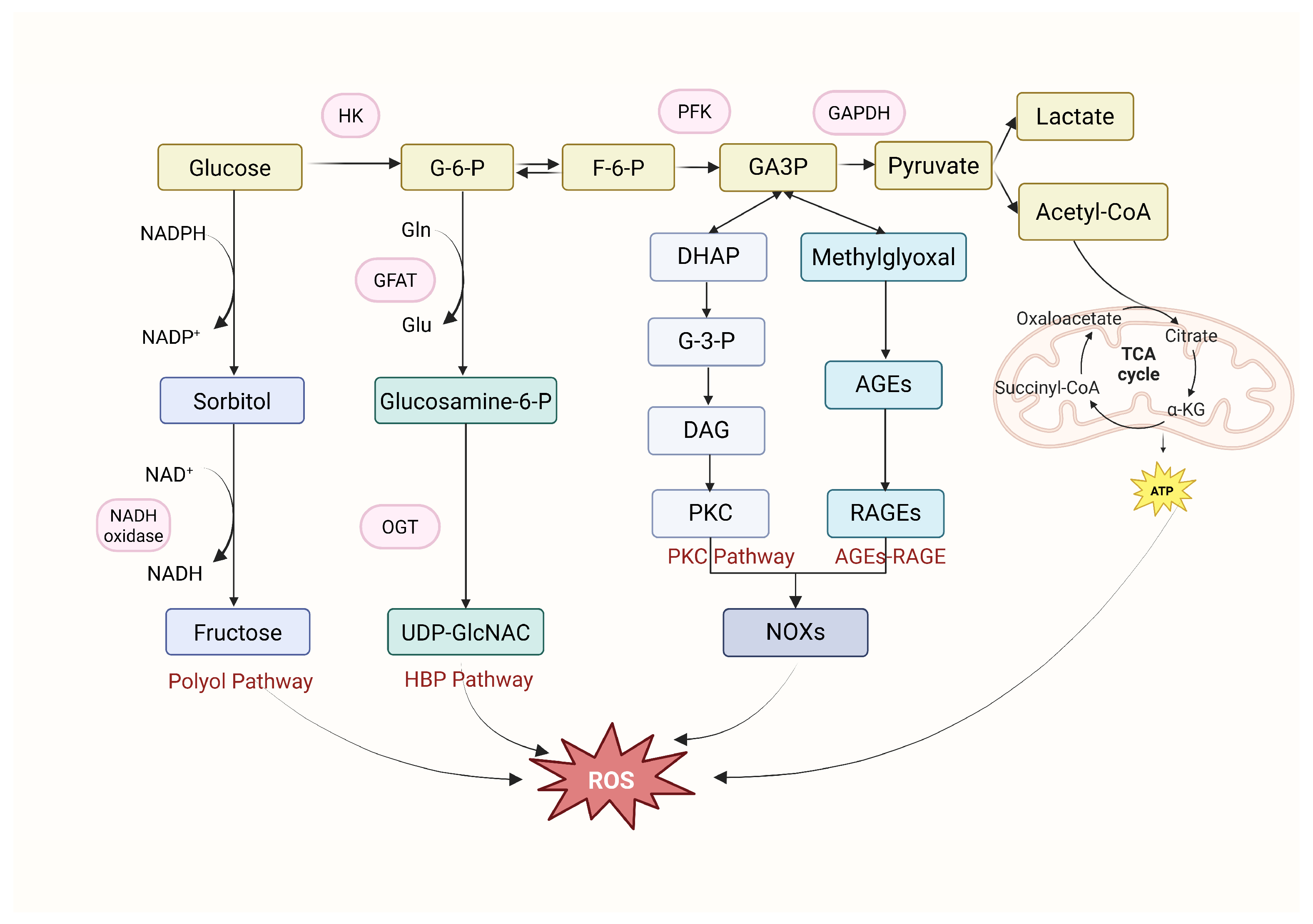 Cimb 47 00614 g001 Cimb 47 00614 g001