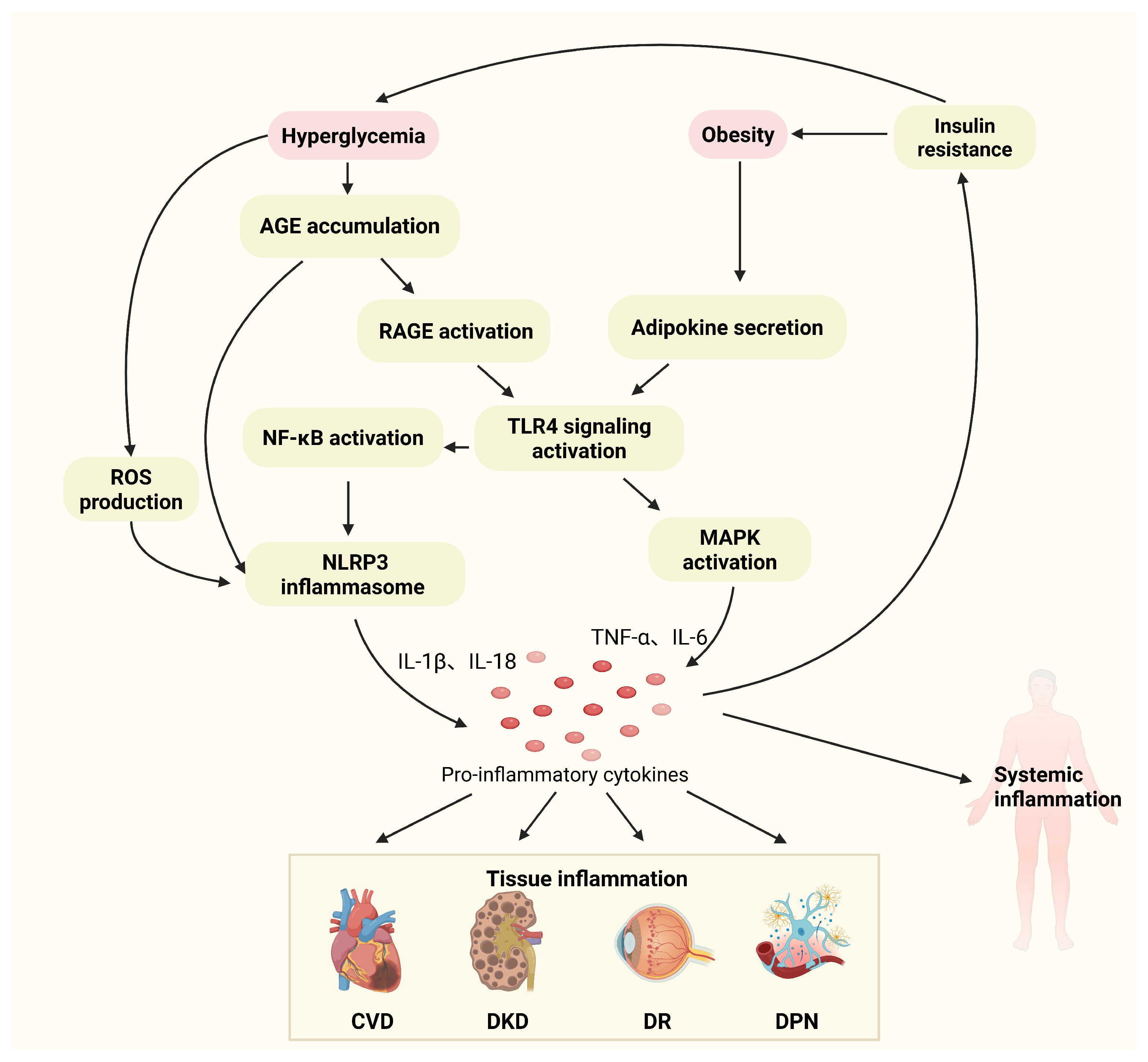 Cimb 47 00614 g002 Cimb 47 00614 g002