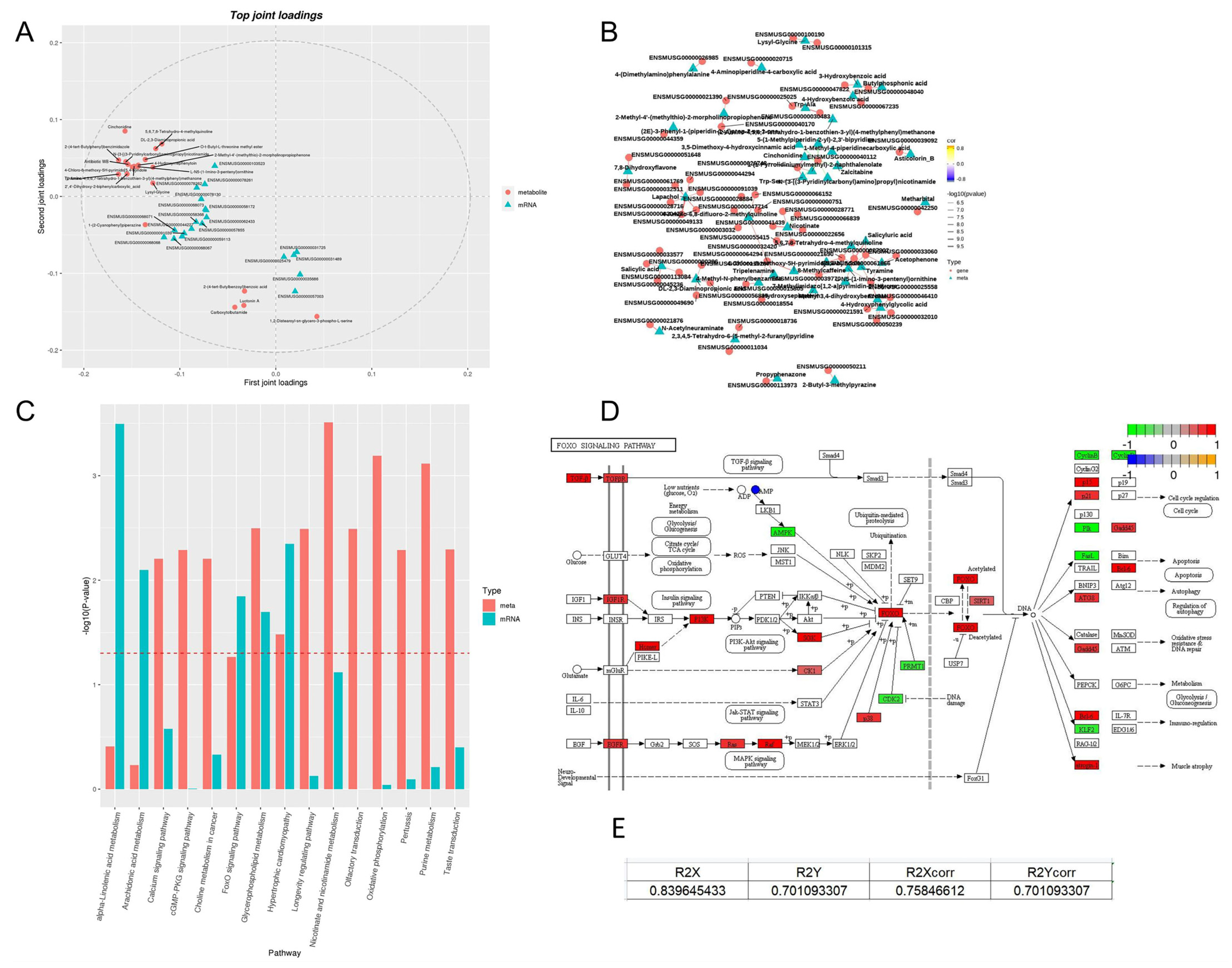 Cimb 47 00619 g011 Cimb 47 00619 g011
