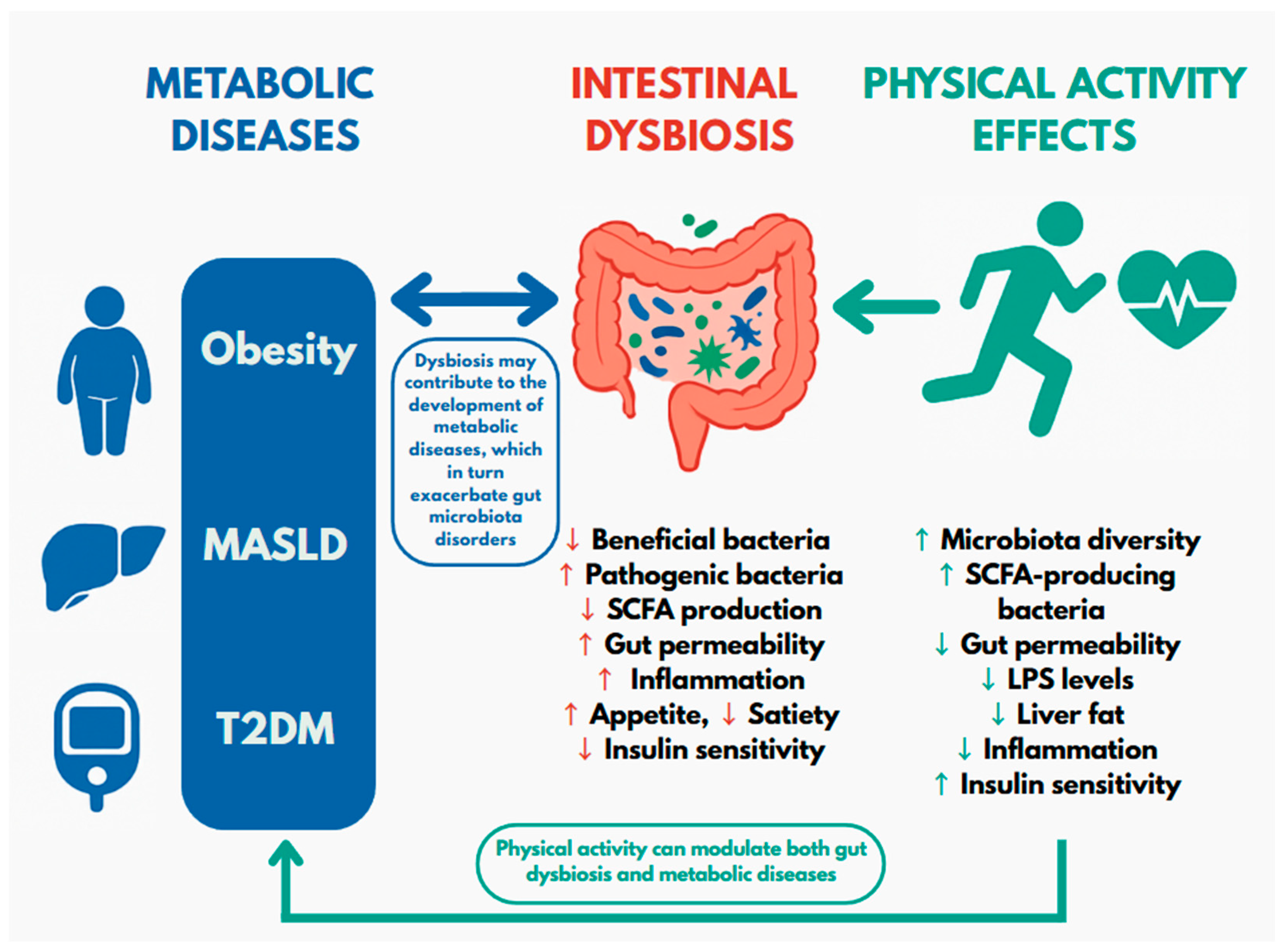 Physical Activity and Metabolic Disorders—What Does Gut