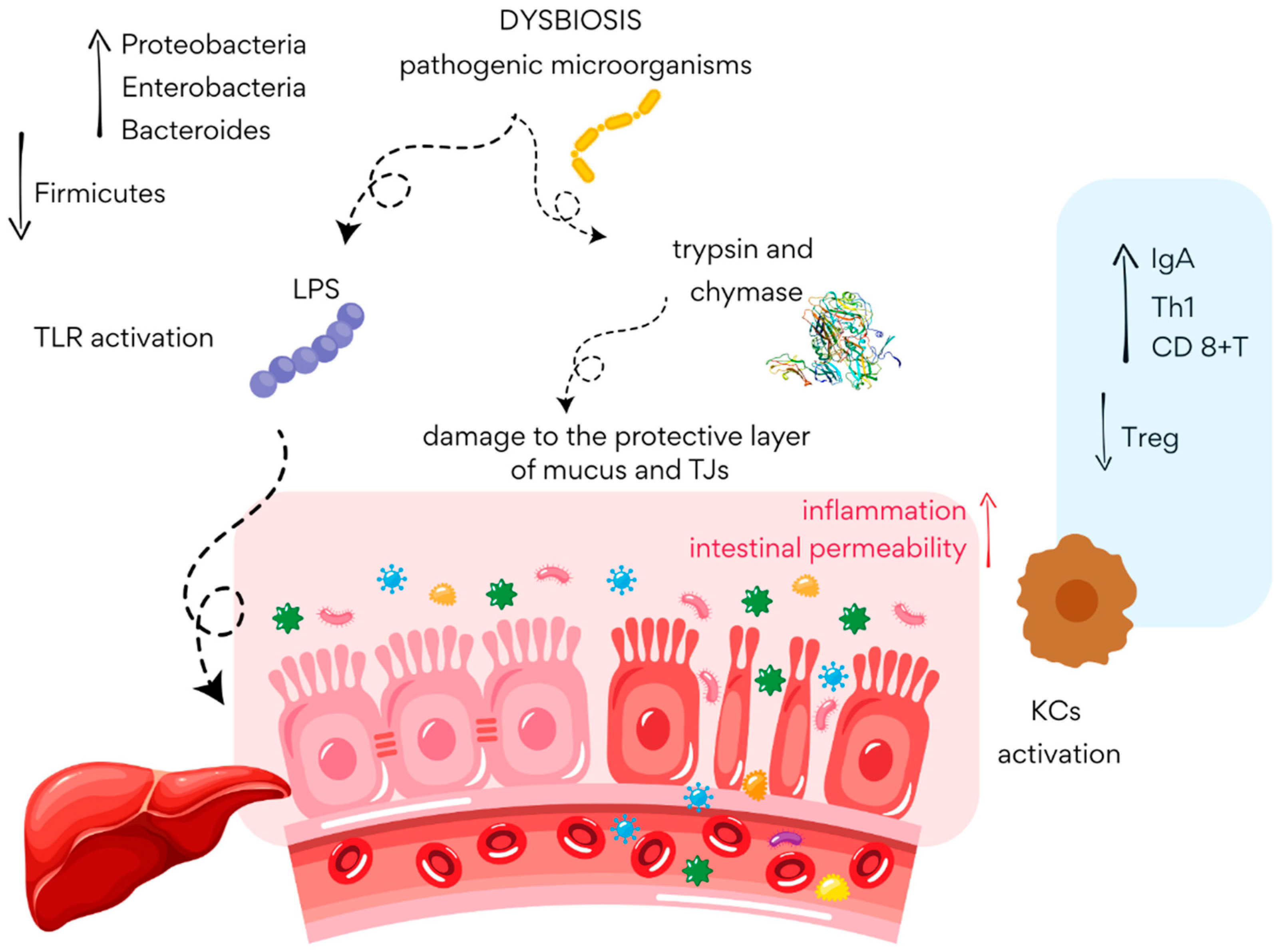 Cimb 47 00630 g003 Cimb 47 00630 g003