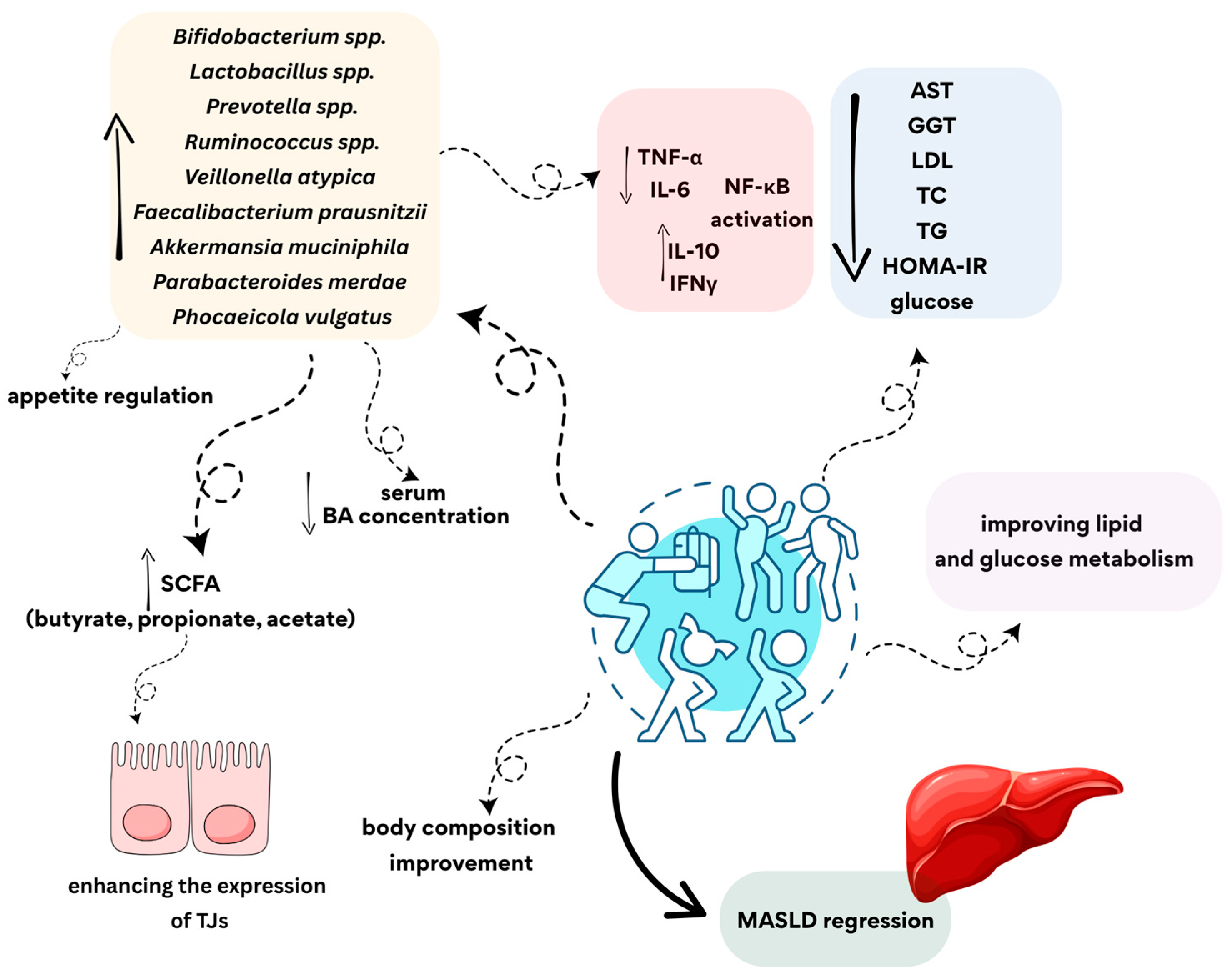 Cimb 47 00630 g004 Cimb 47 00630 g004