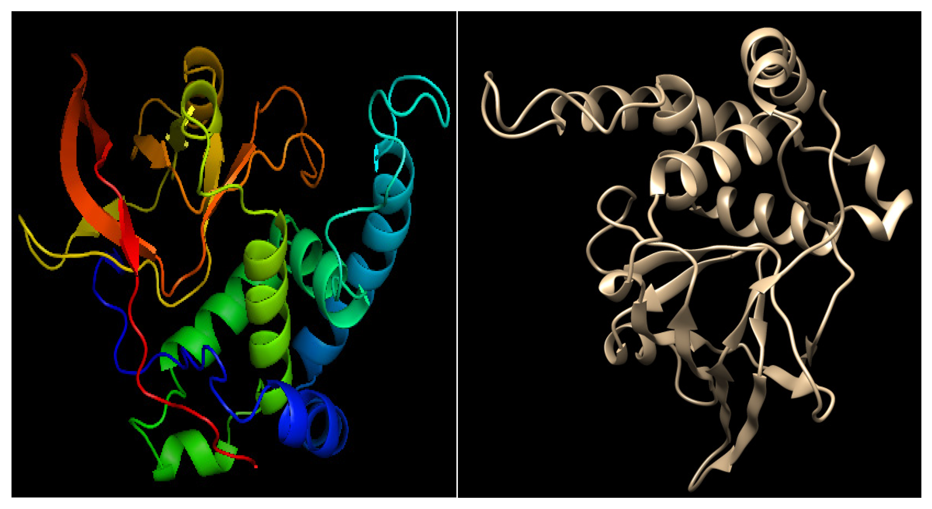 Cimb 47 00634 g004 Cimb 47 00634 g004