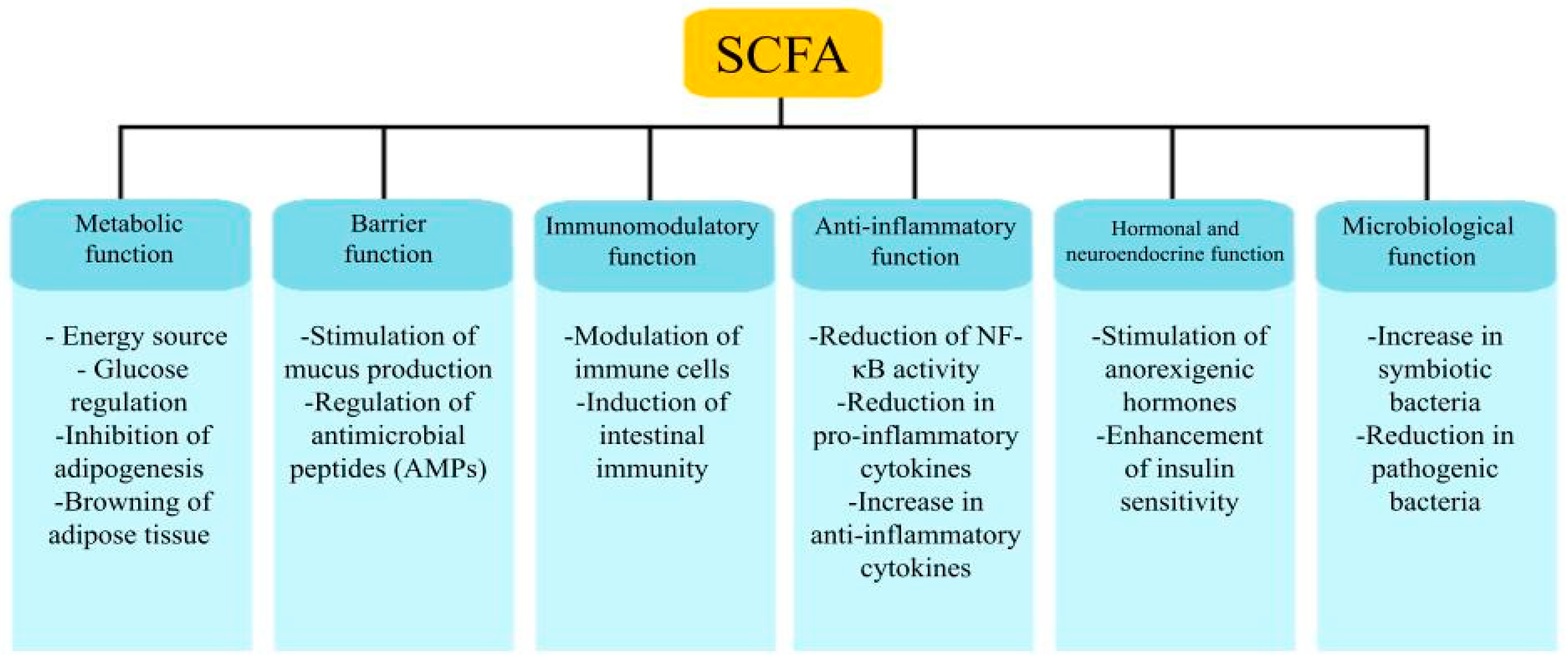 Cimb 47 00637 g002 Cimb 47 00637 g002