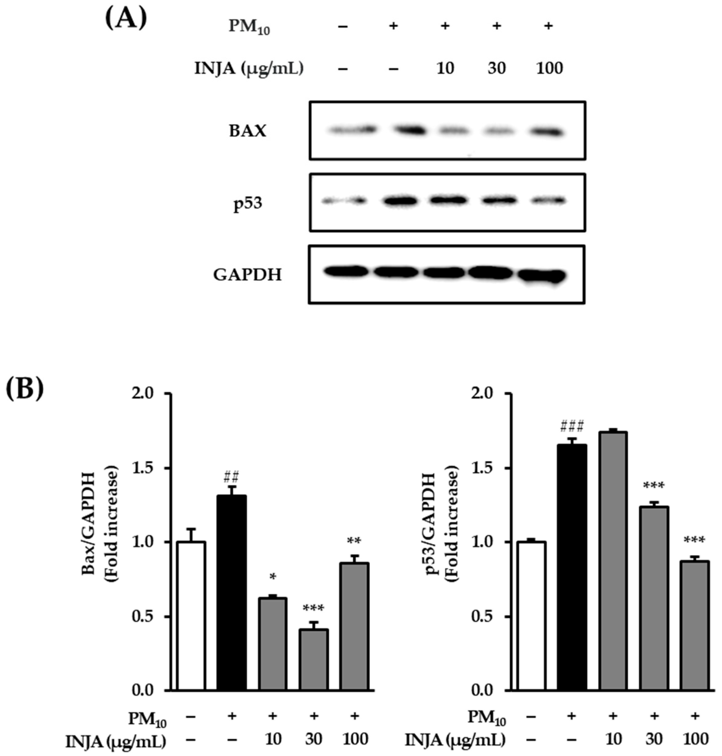 Cimb 47 00639 g003 Cimb 47 00639 g003