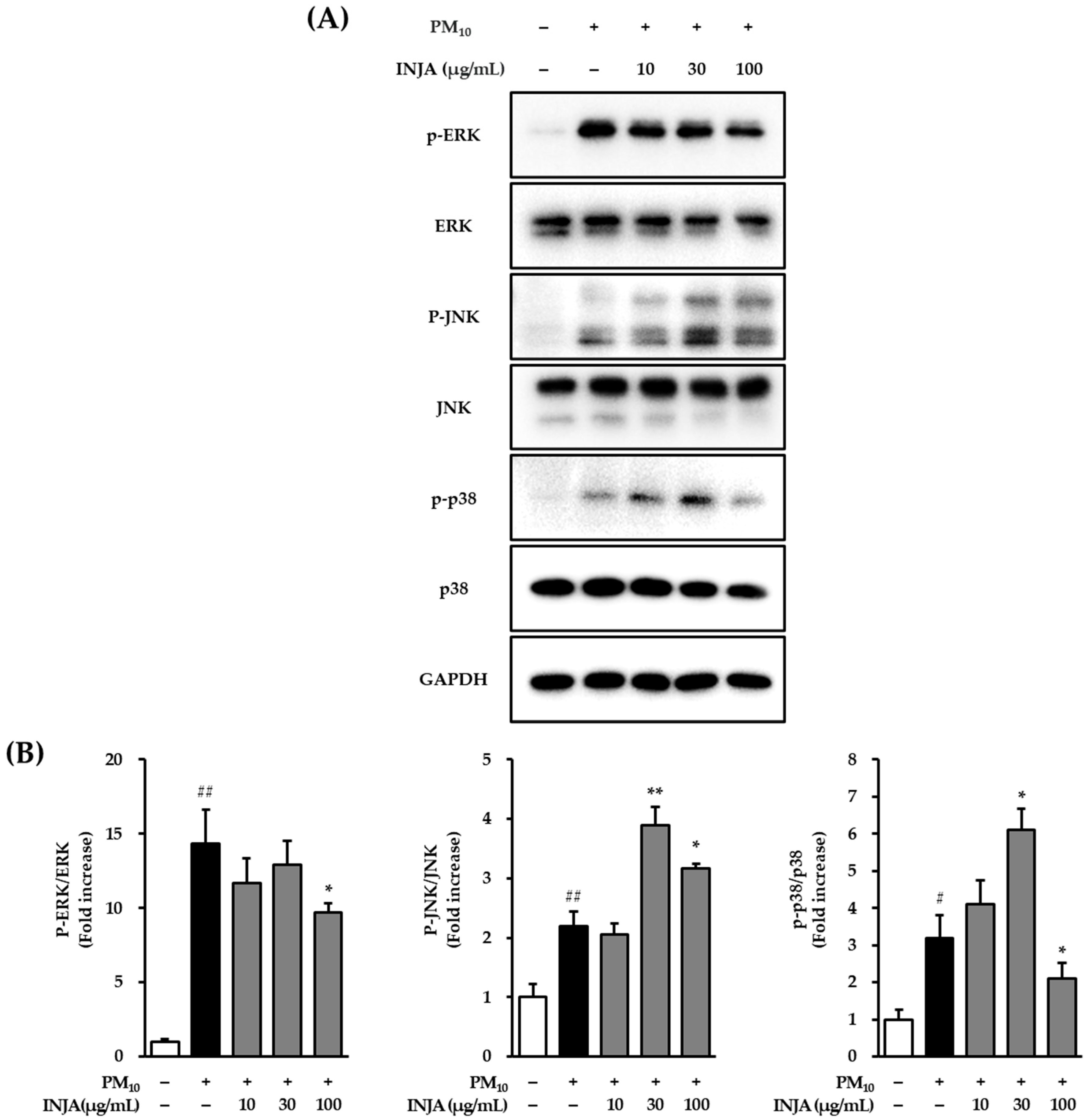 Cimb 47 00639 g004 Cimb 47 00639 g004