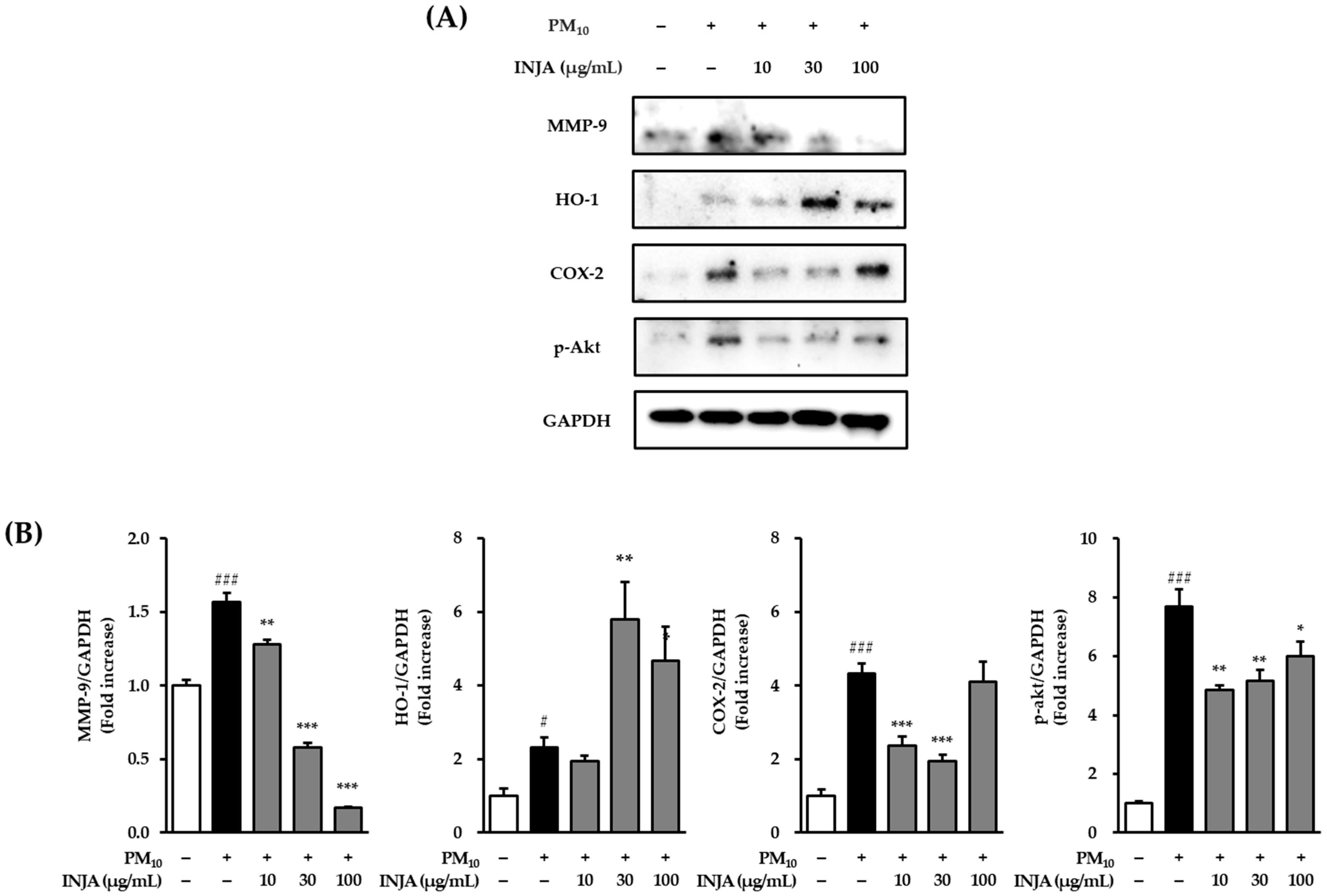 Cimb 47 00639 g005 Cimb 47 00639 g005
