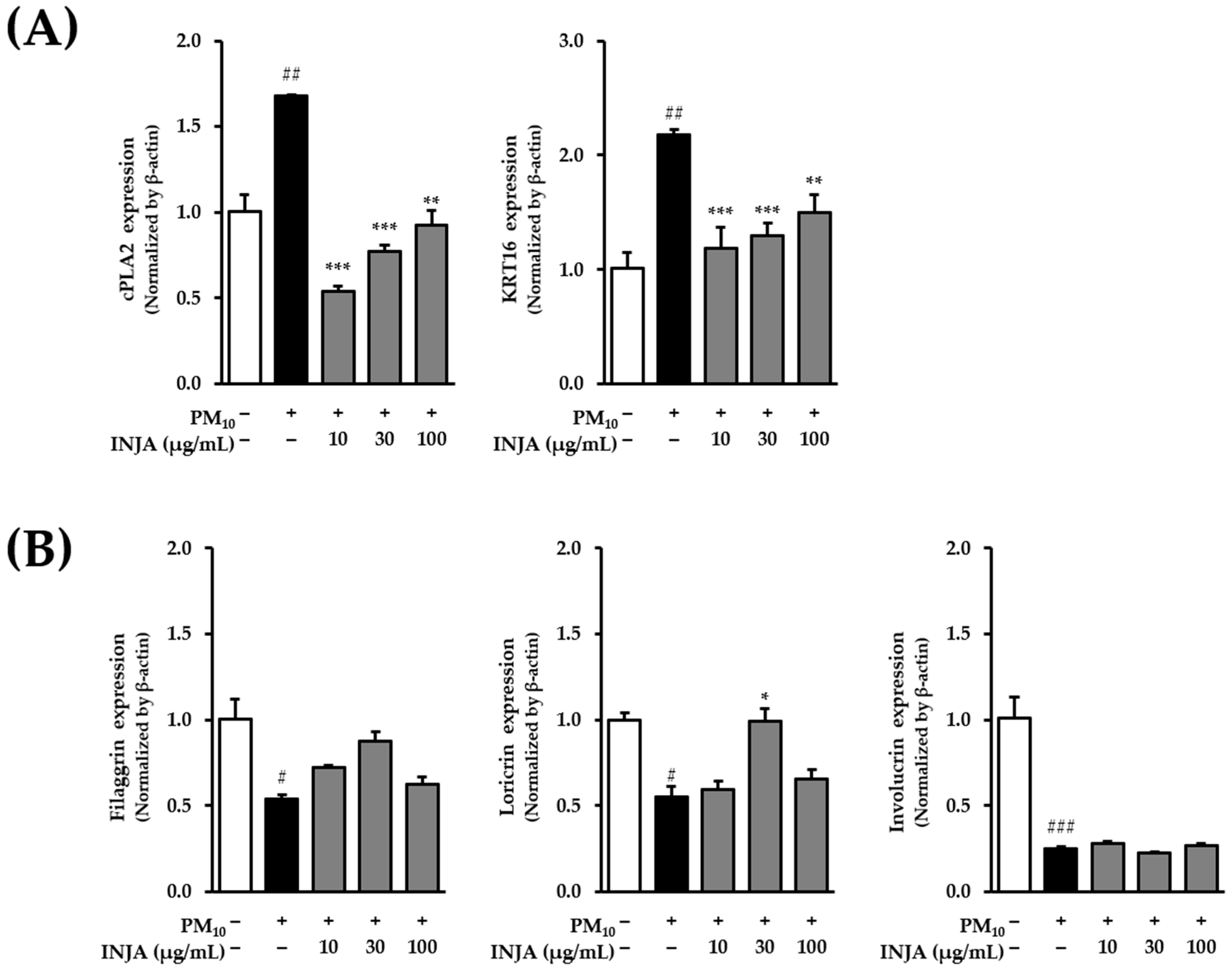 Cimb 47 00639 g006 Cimb 47 00639 g006