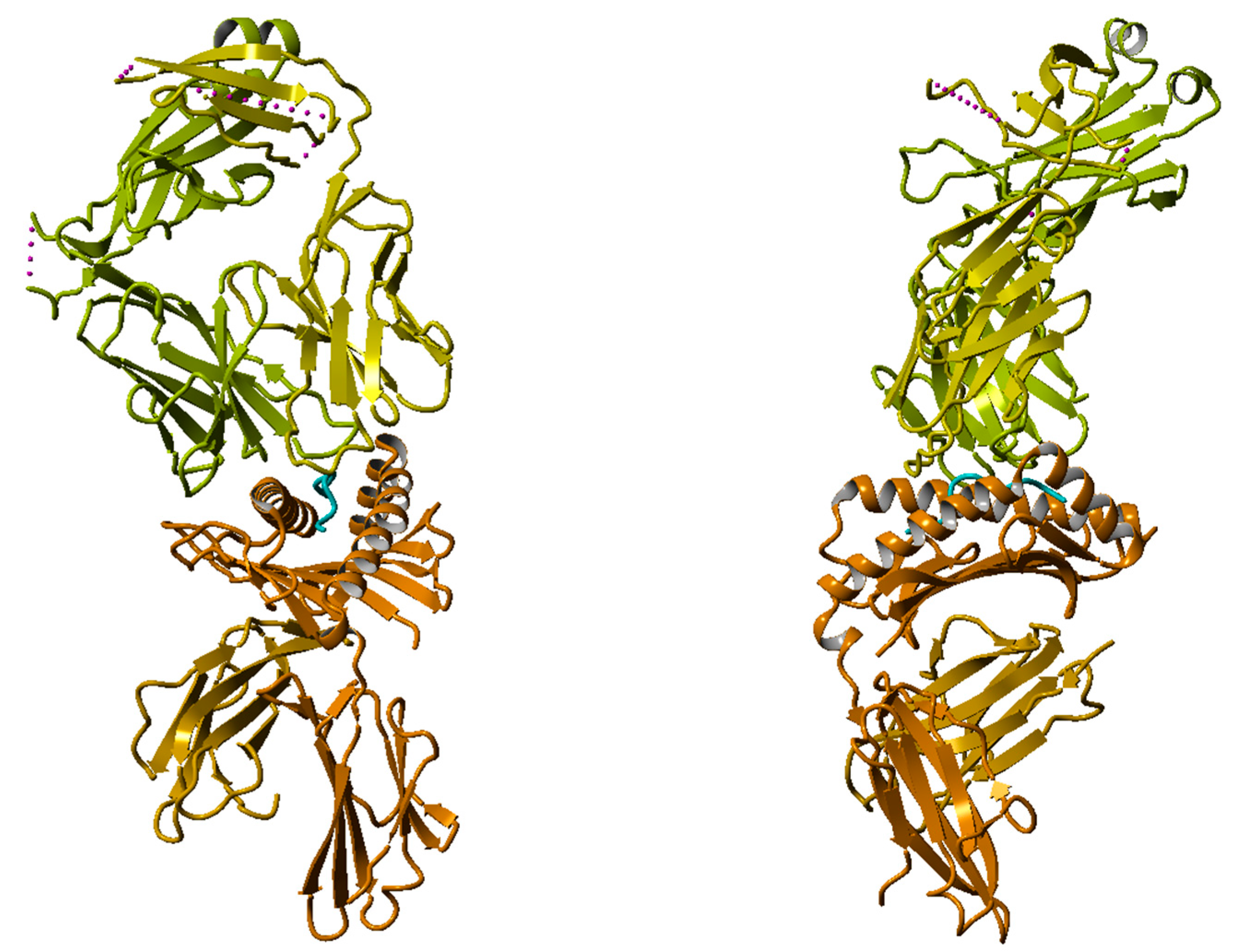 Cimb 47 00641 g002 Cimb 47 00641 g002