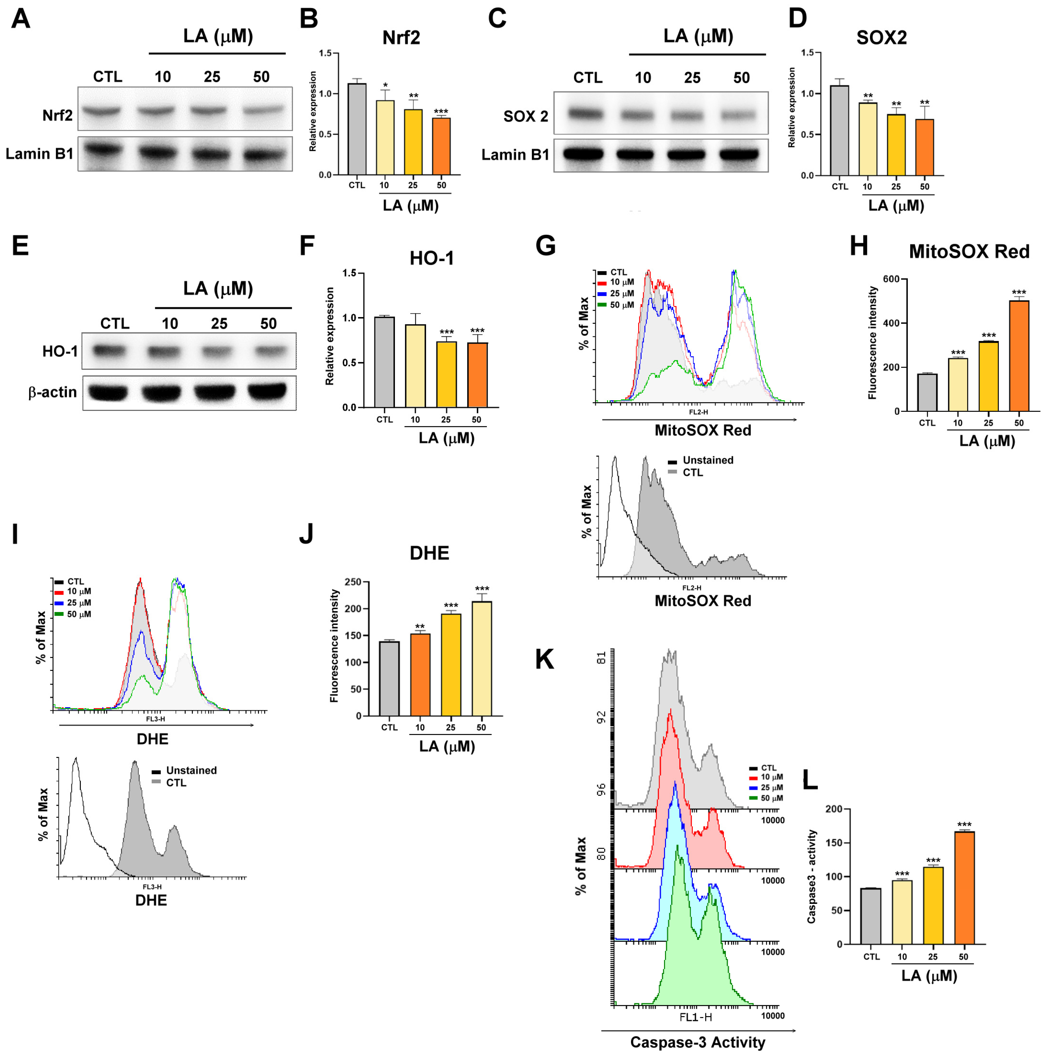 Cimb 47 00646 g002 Cimb 47 00646 g002