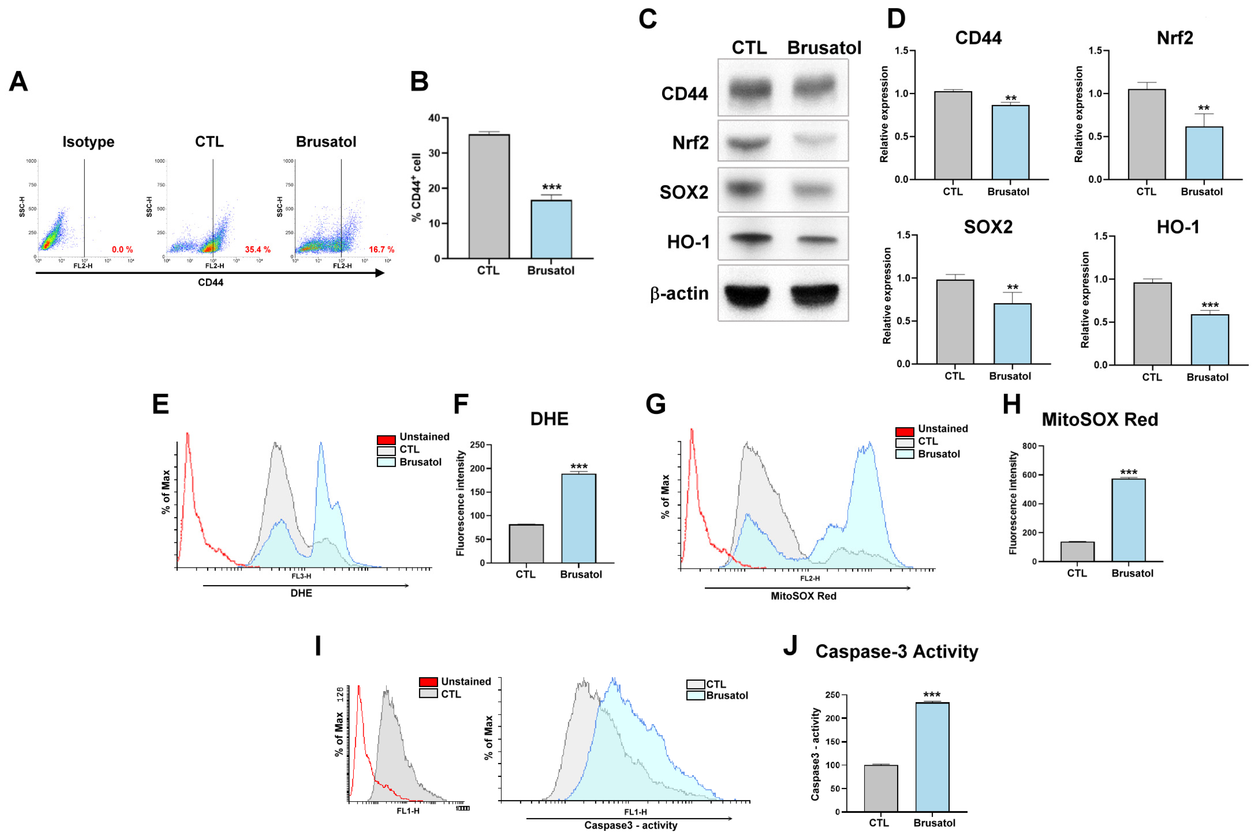 Cimb 47 00646 g003 Cimb 47 00646 g003