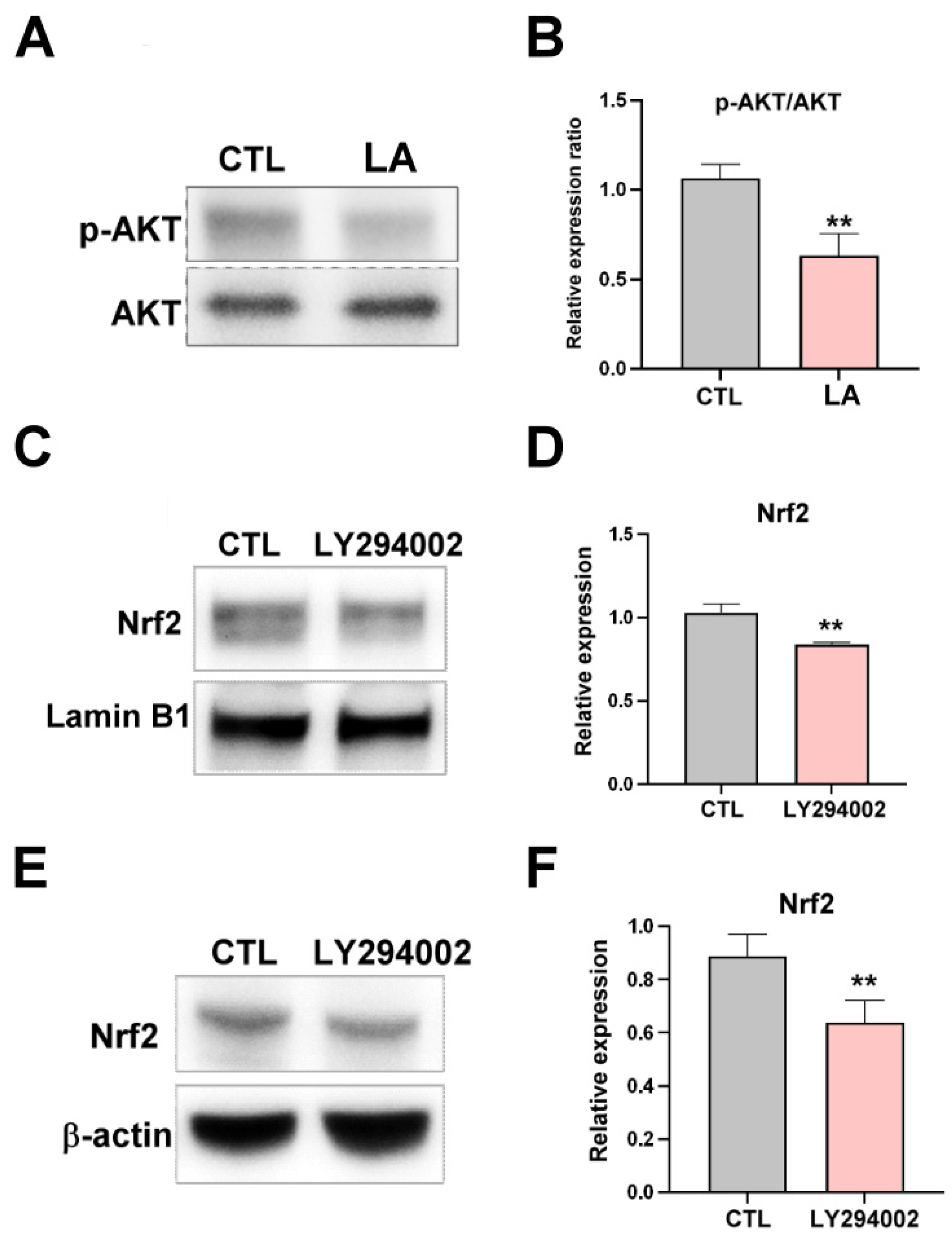 Cimb 47 00646 g005 Cimb 47 00646 g005