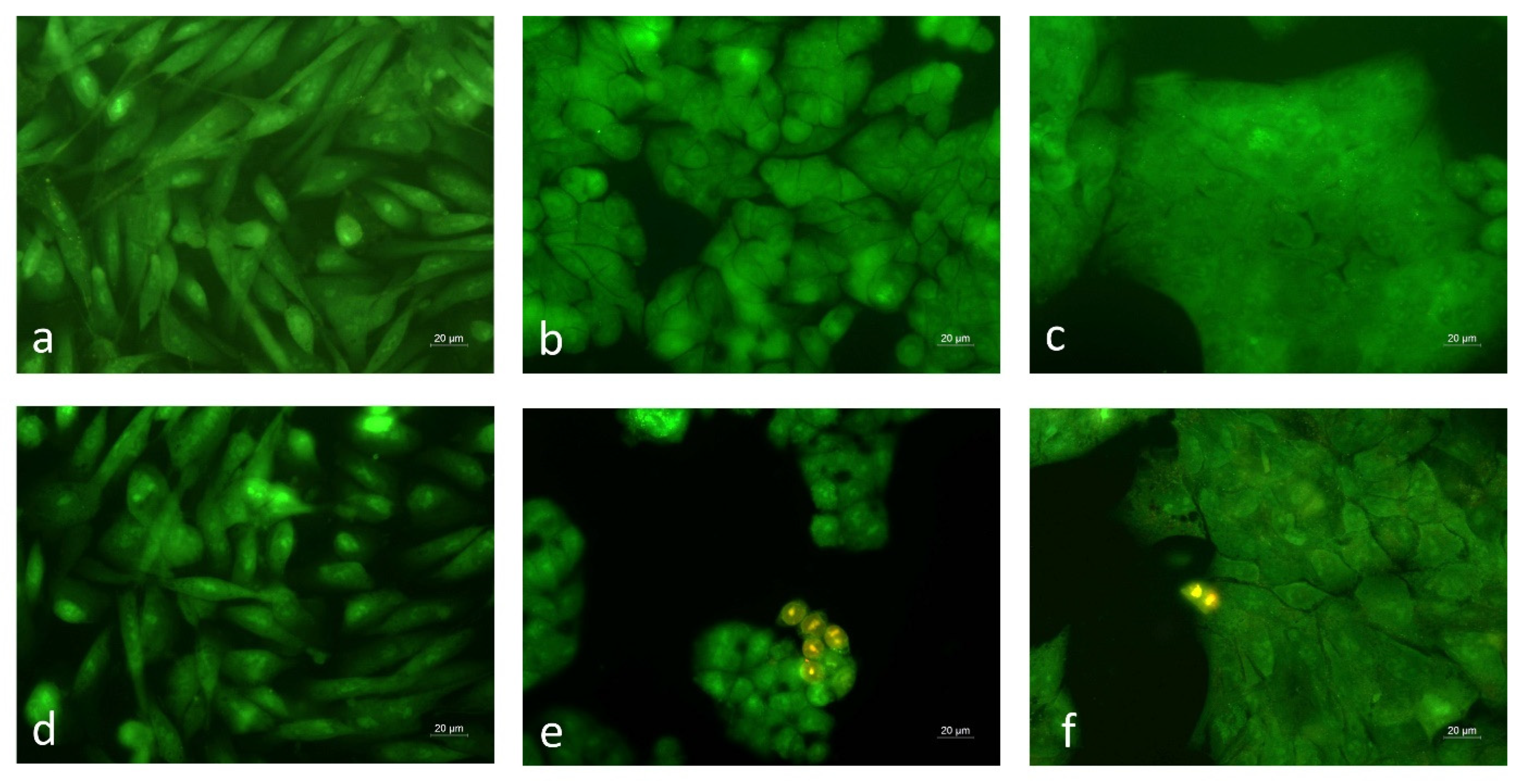 Cimb 47 00649 g005 Cimb 47 00649 g005