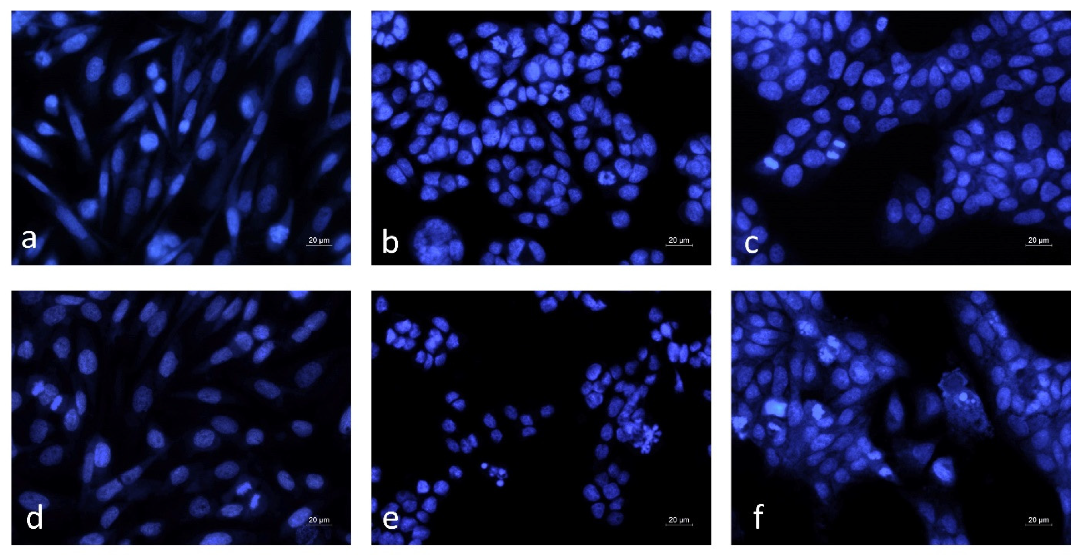 Cimb 47 00649 g006 Cimb 47 00649 g006