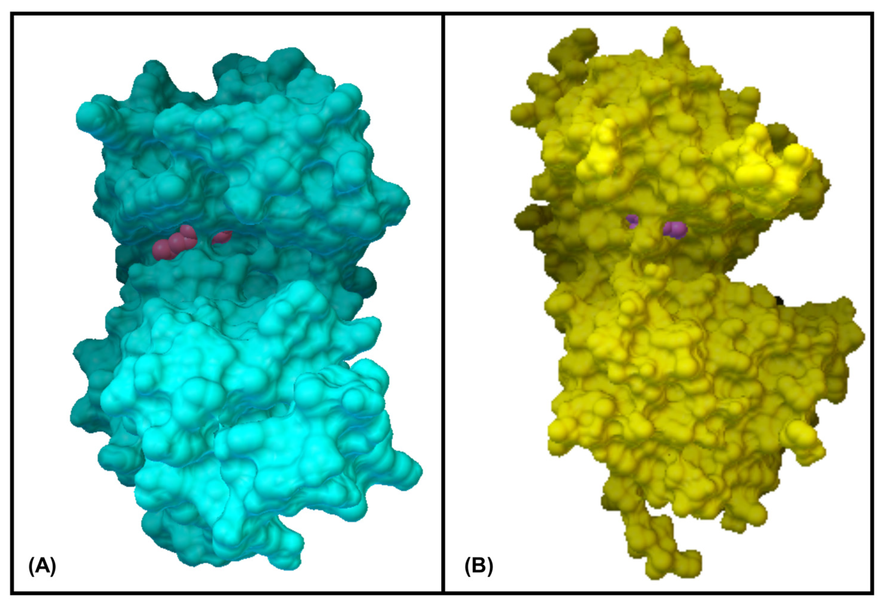 Cimb 47 00649 g007 Cimb 47 00649 g007