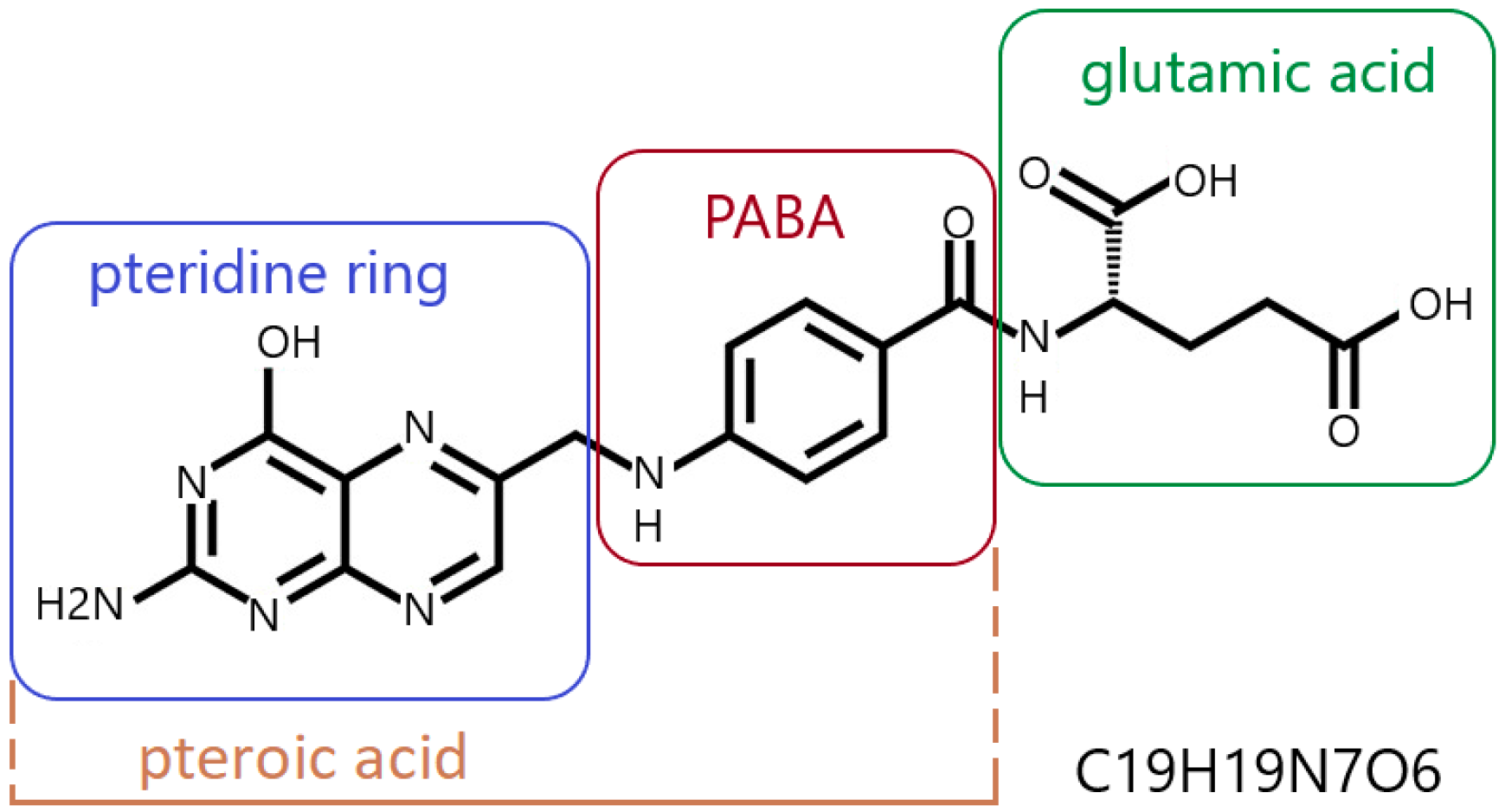Cimb 47 00654 g001 Cimb 47 00654 g001