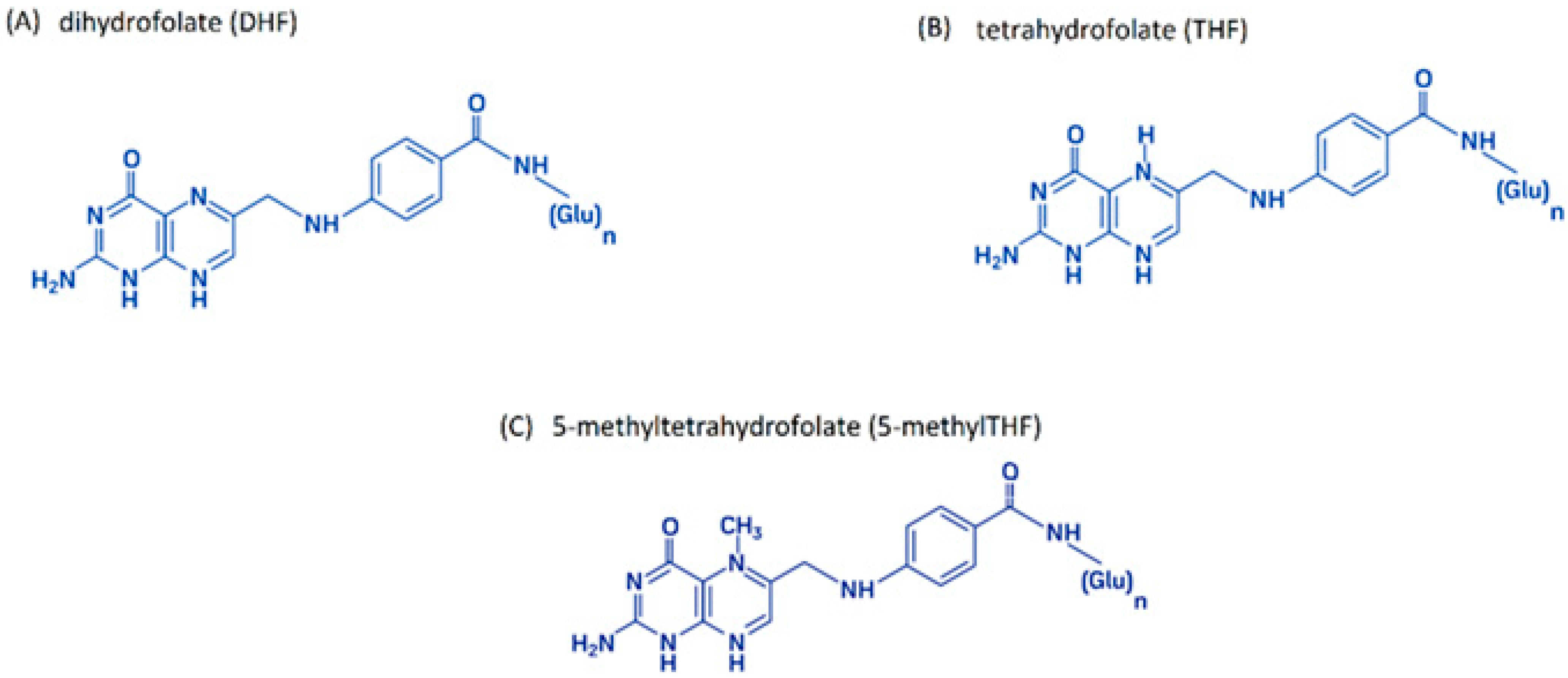 Cimb 47 00654 g002 Cimb 47 00654 g002