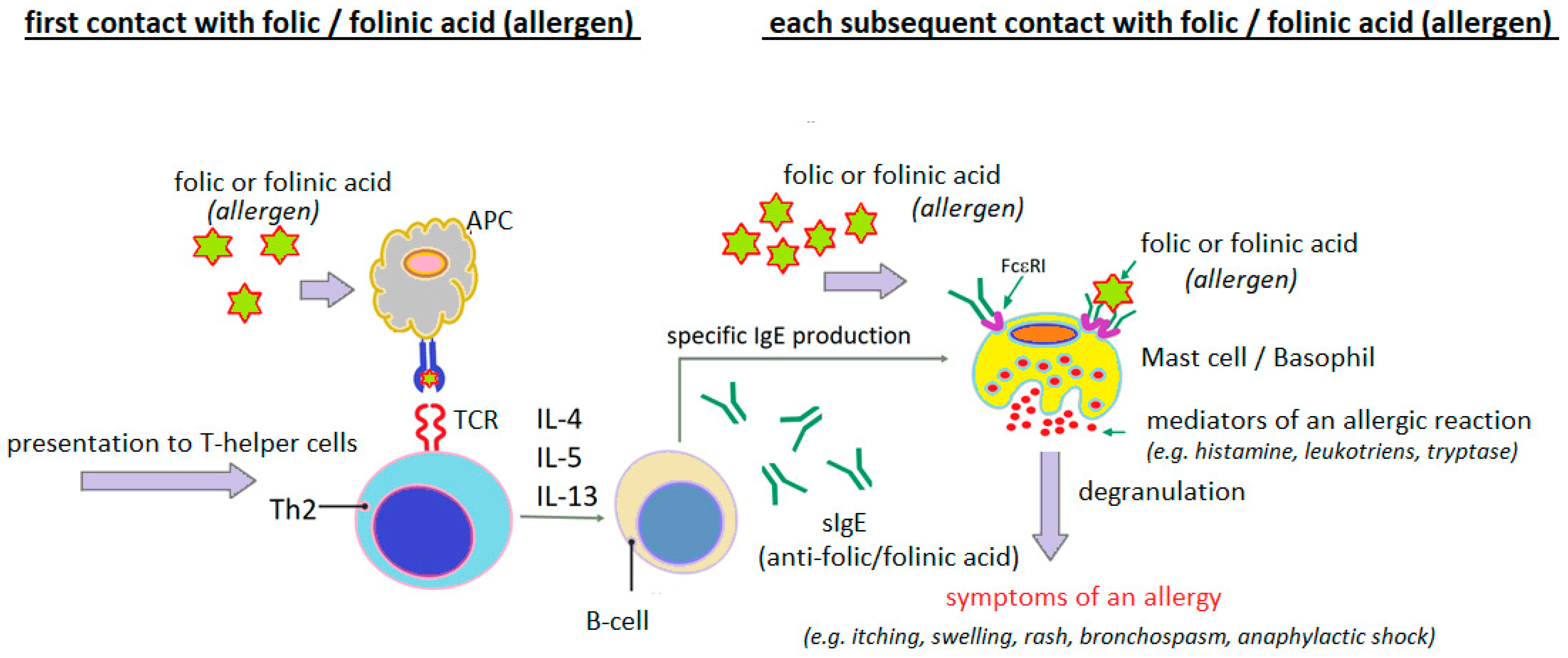 Cimb 47 00654 g004 Cimb 47 00654 g004