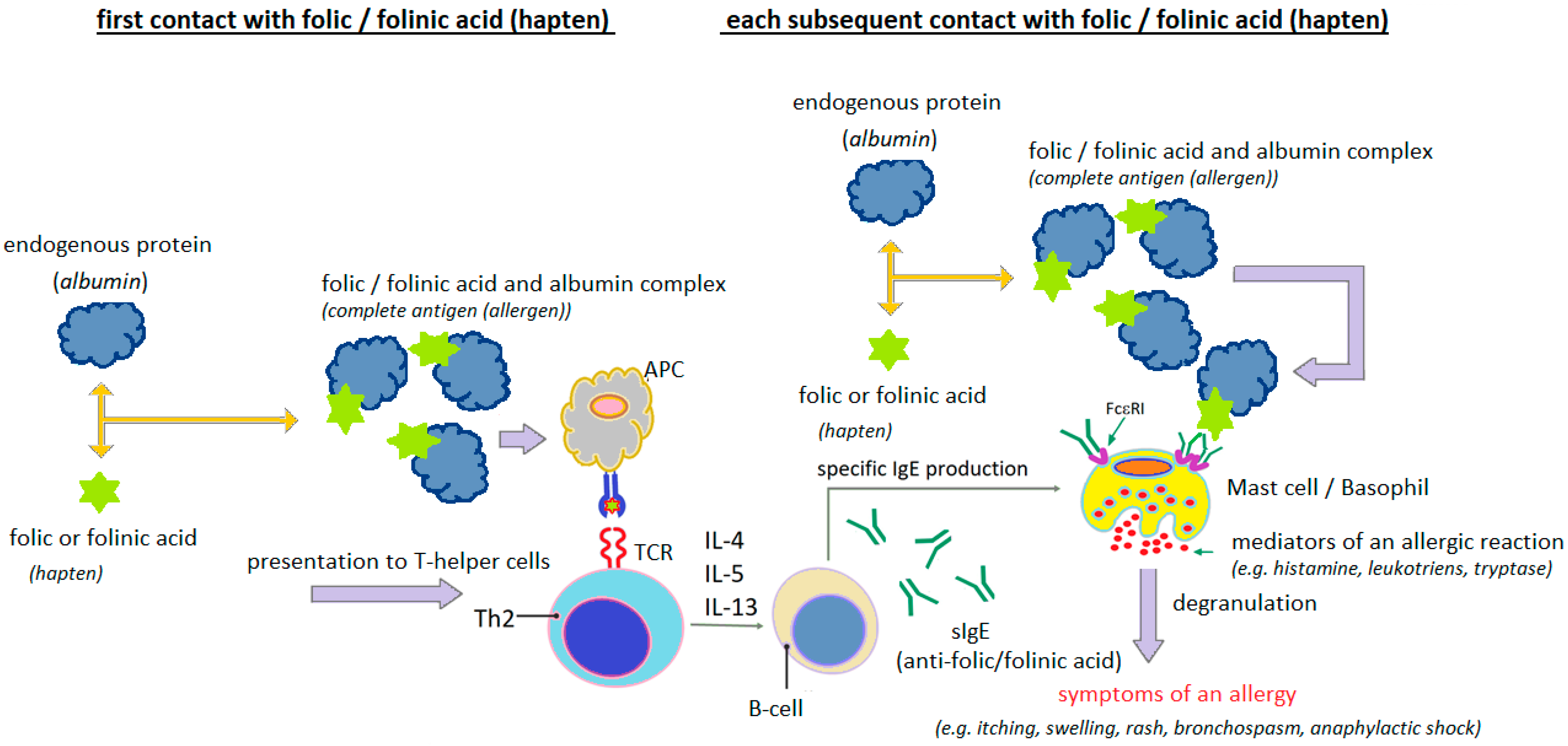 Cimb 47 00654 g005 Cimb 47 00654 g005