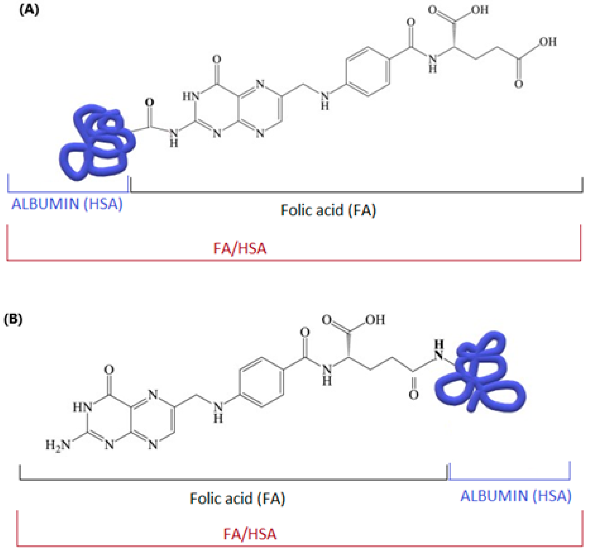 Cimb 47 00654 g006 Cimb 47 00654 g006