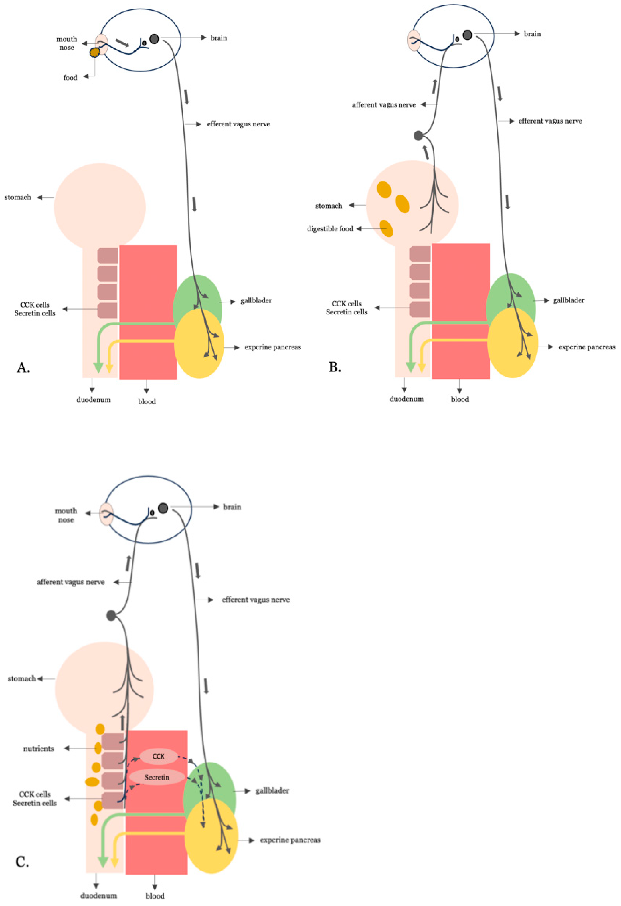 Cimb 47 00657 g001 Cimb 47 00657 g001