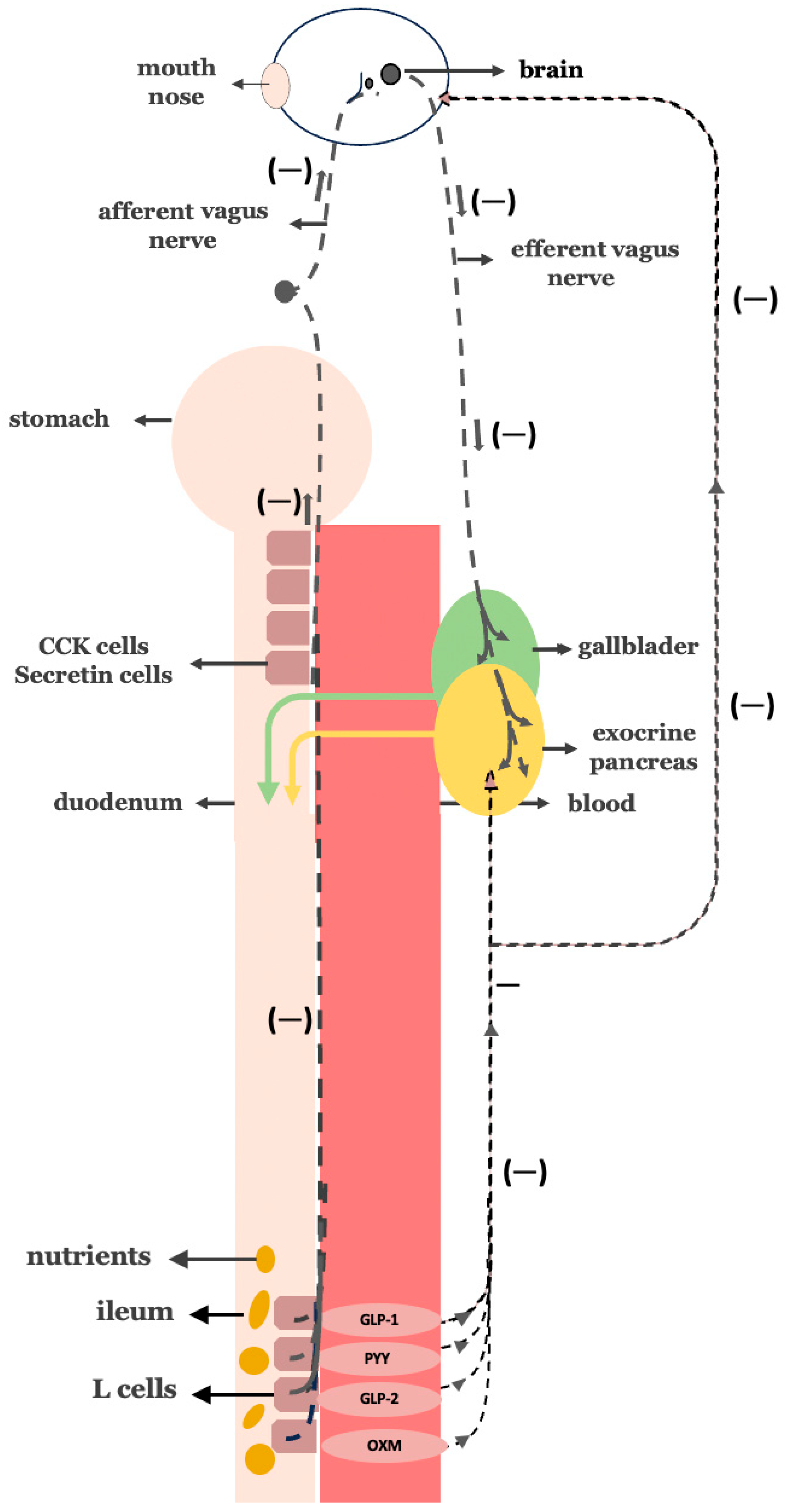 Cimb 47 00657 g005 Cimb 47 00657 g005