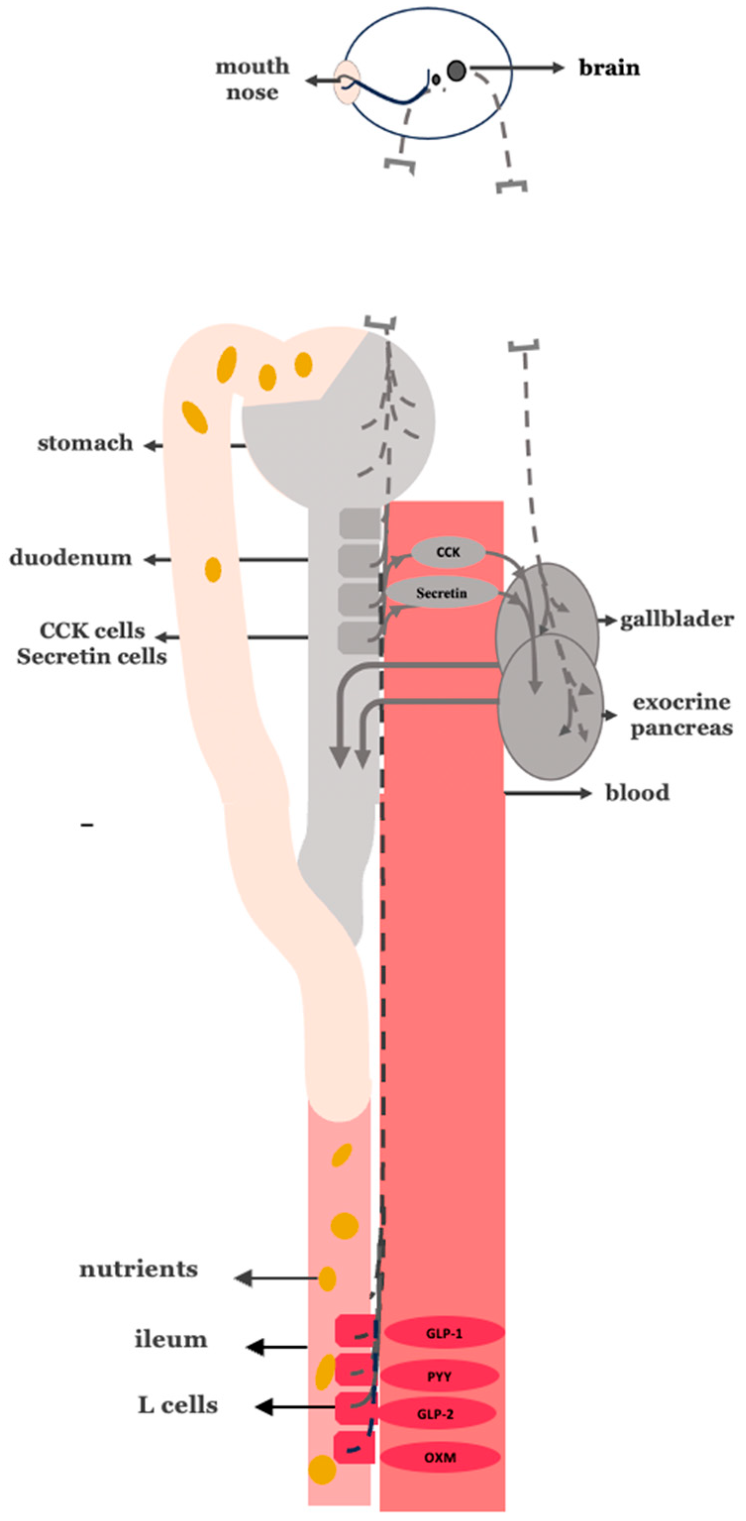 Cimb 47 00657 g006 Cimb 47 00657 g006