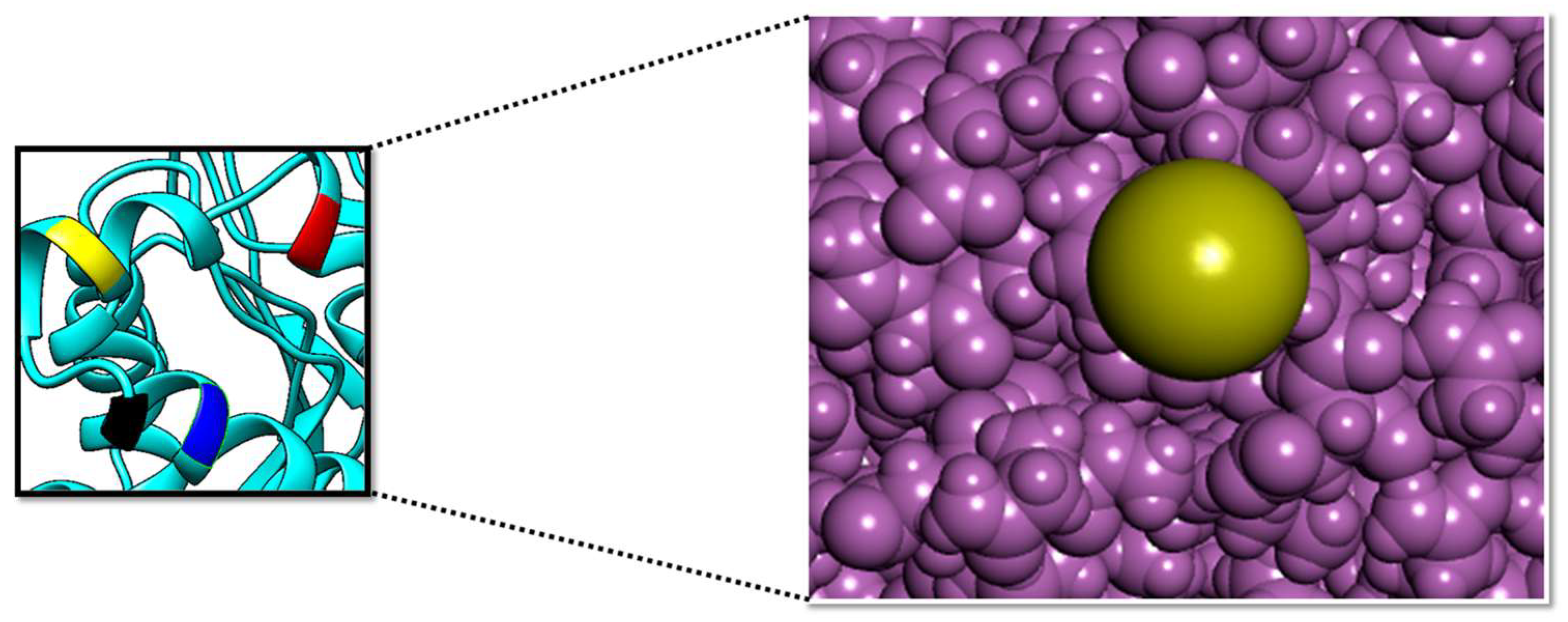 Cimb 47 00658 g002 Cimb 47 00658 g002