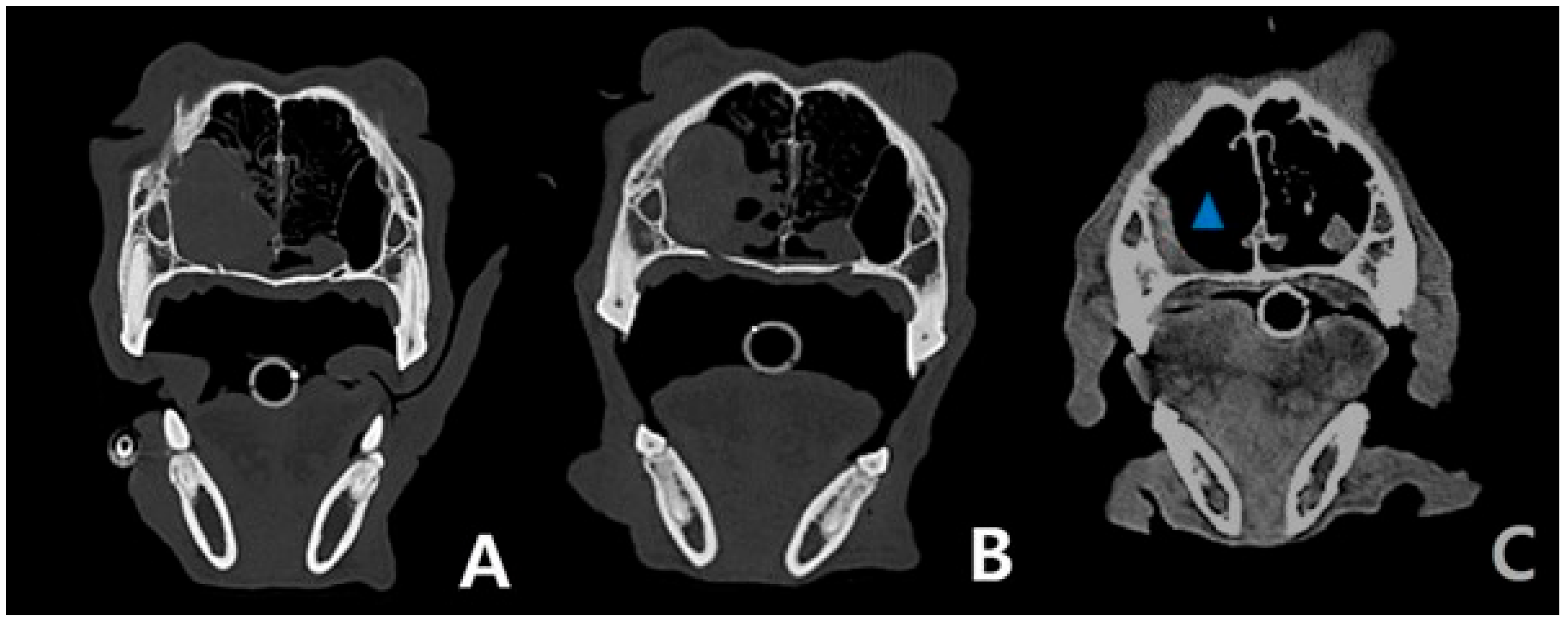 Cimb 47 00660 g002 Cimb 47 00660 g002