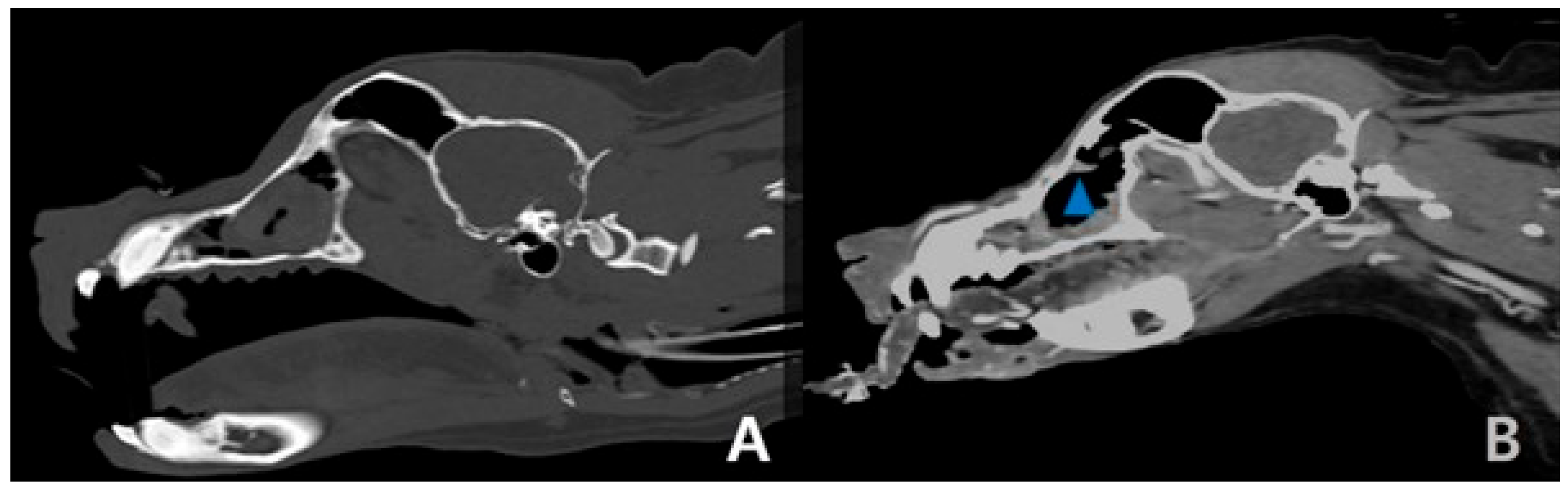 Cimb 47 00660 g003 Cimb 47 00660 g003