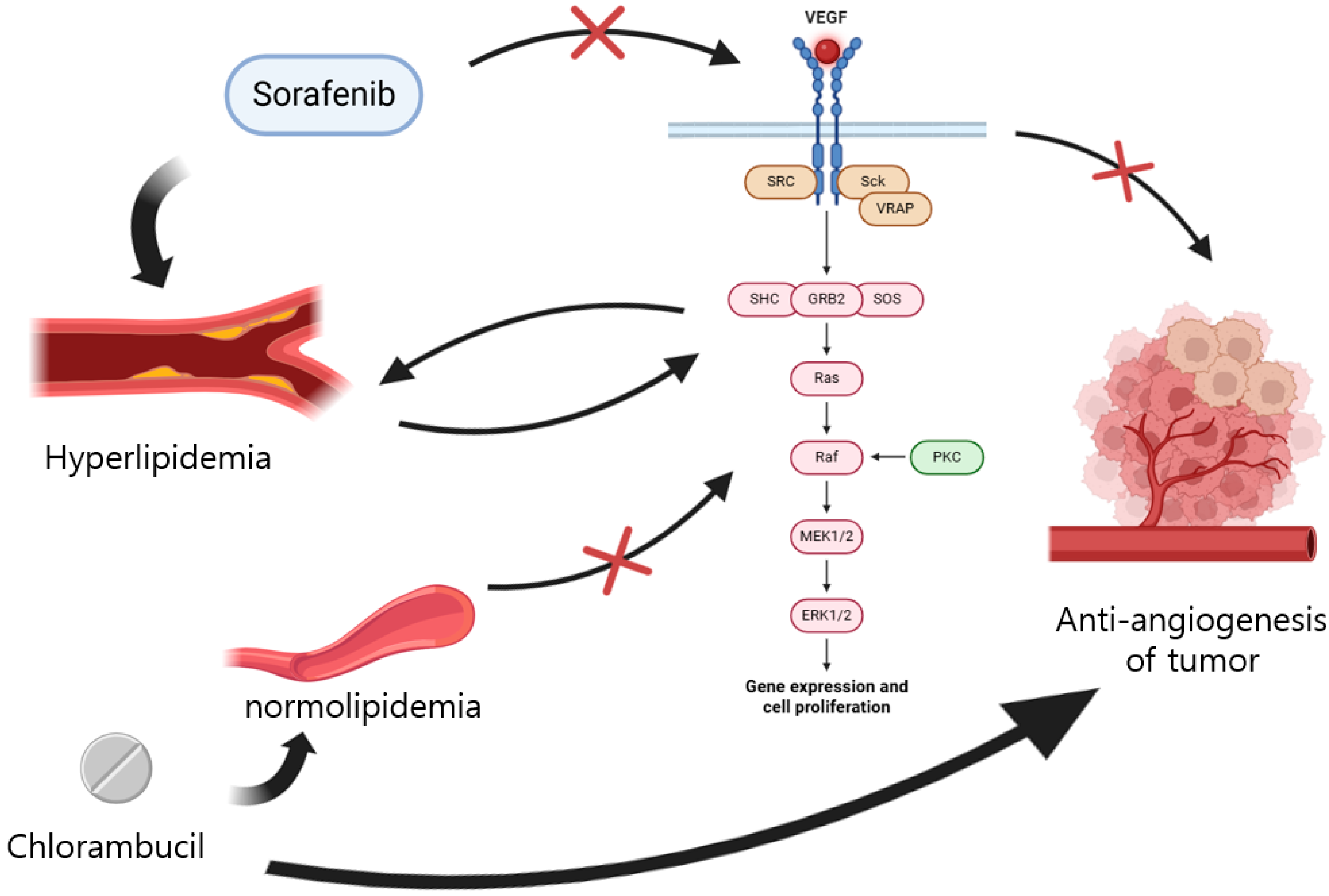 Cimb 47 00660 g004 Cimb 47 00660 g004
