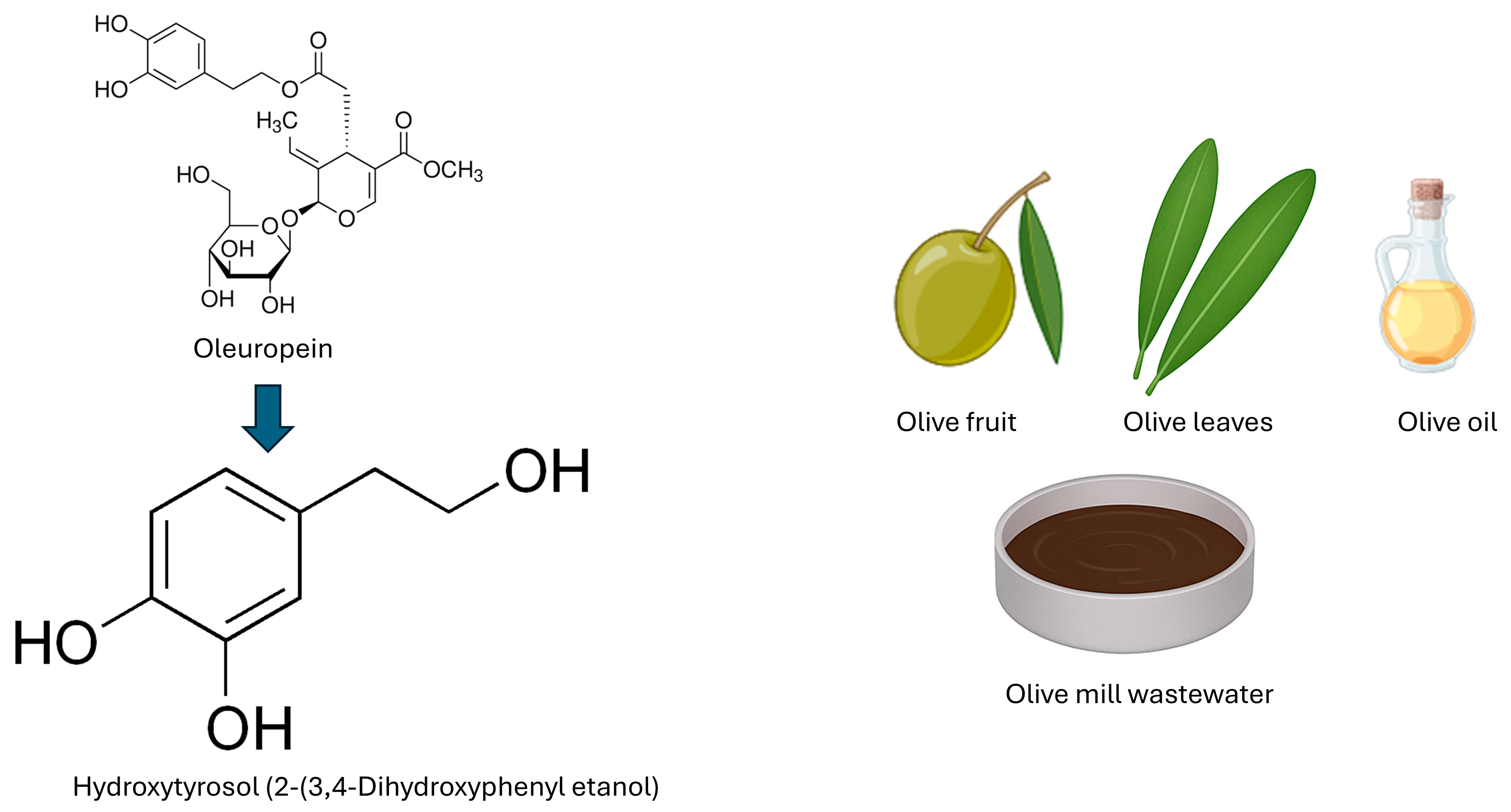 Cimb 47 00667 g001 Cimb 47 00667 g001