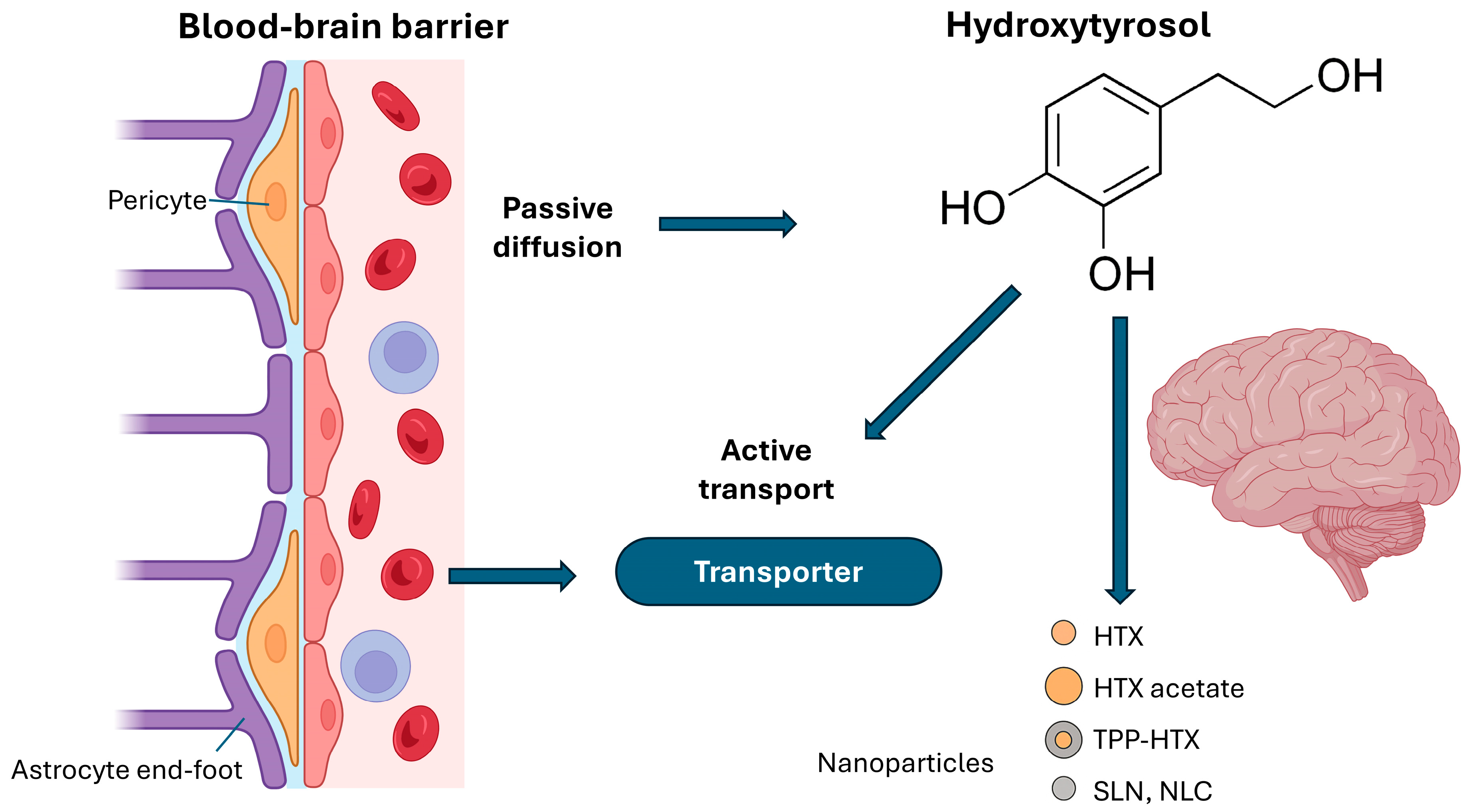 Cimb 47 00667 g002 Cimb 47 00667 g002