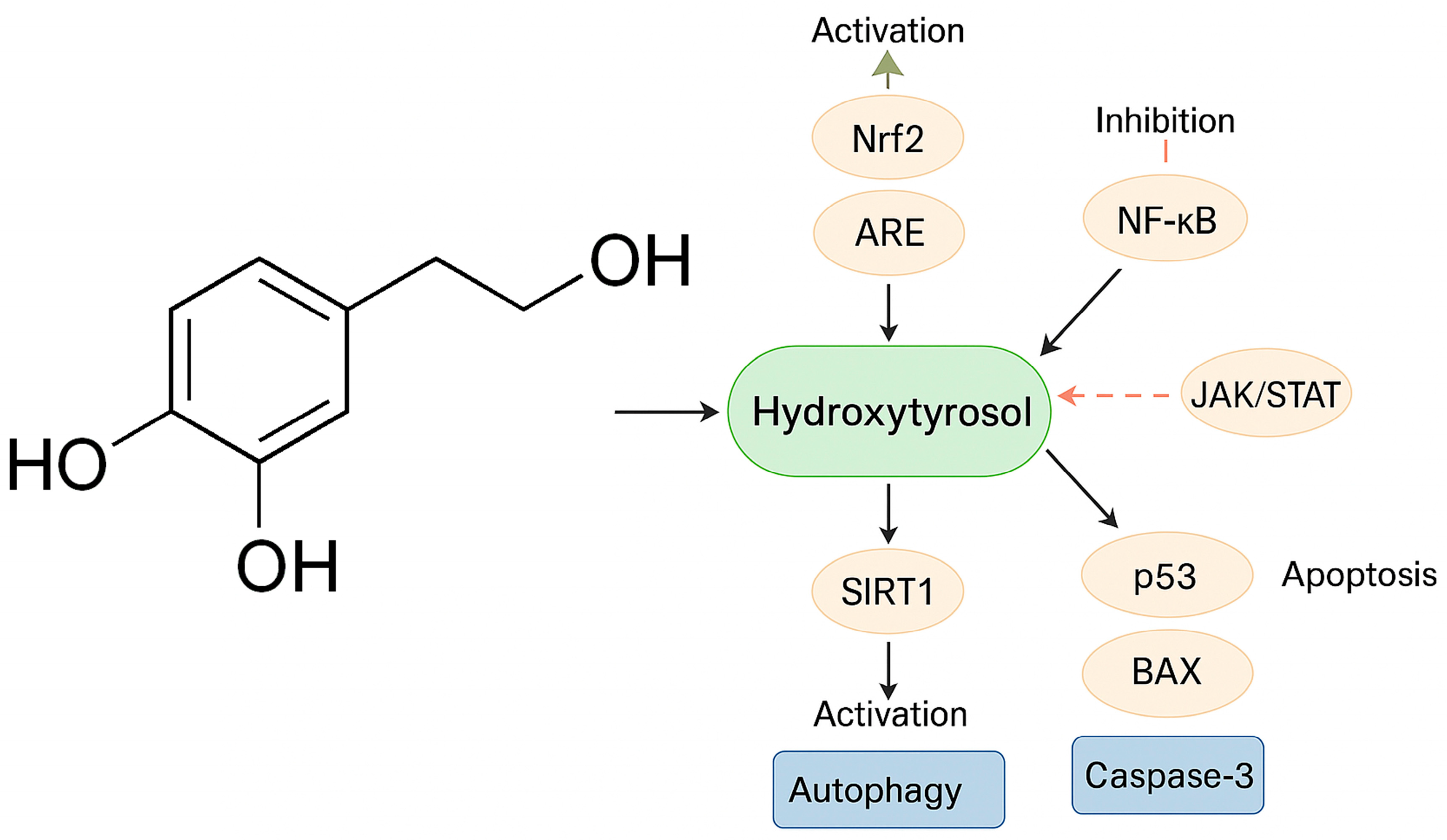 Cimb 47 00667 g003 Cimb 47 00667 g003