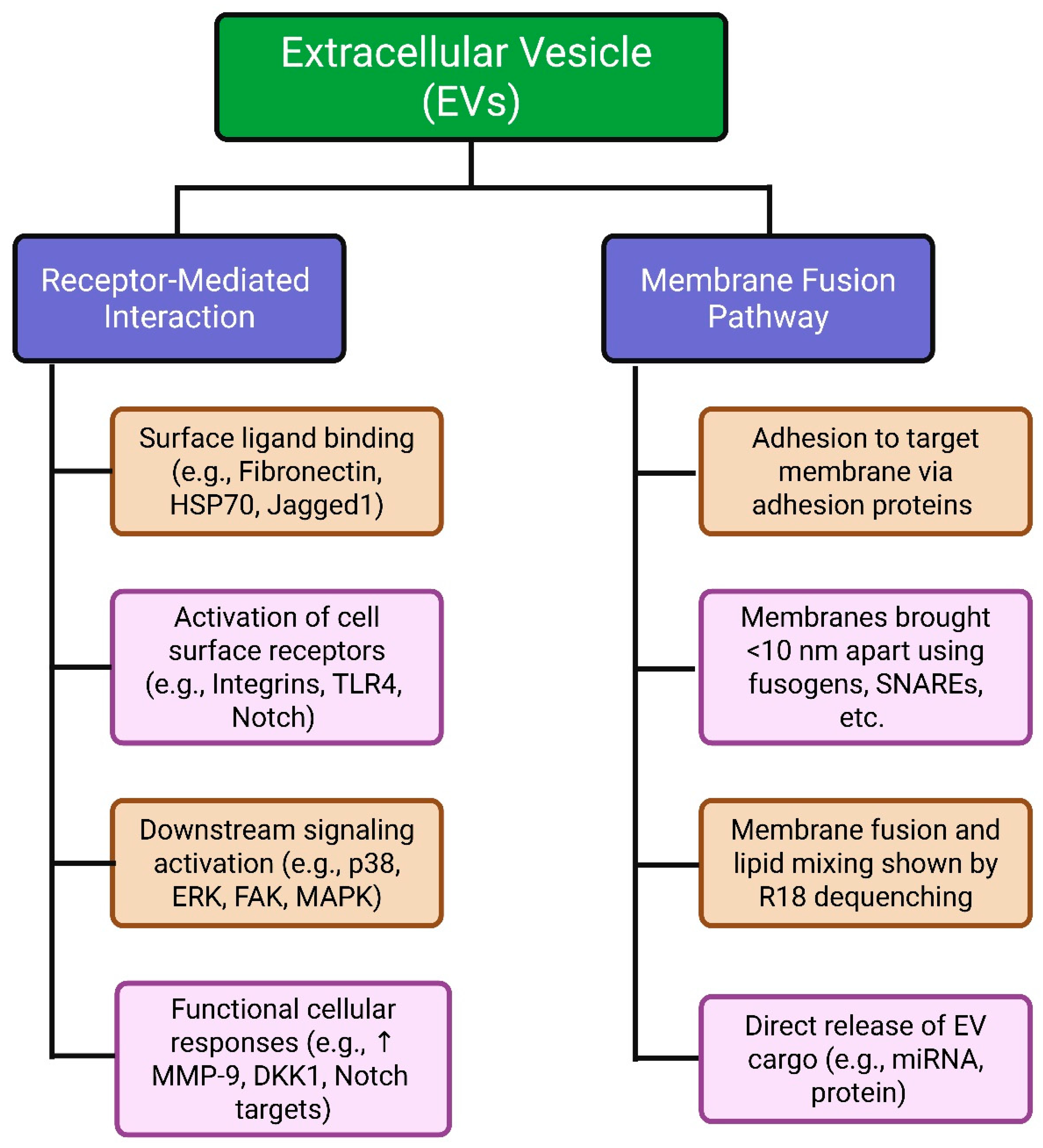 Cimb 47 00675 g001 Cimb 47 00675 g001