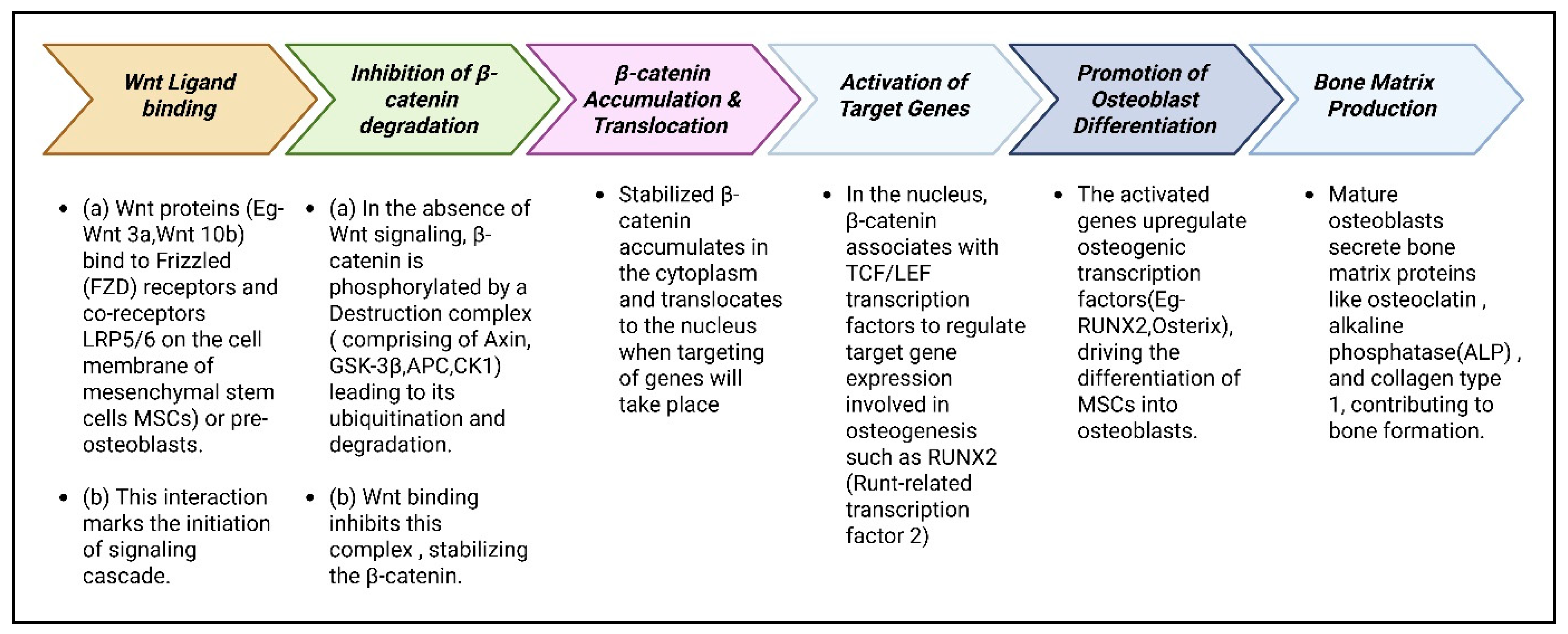 Cimb 47 00675 g003 Cimb 47 00675 g003