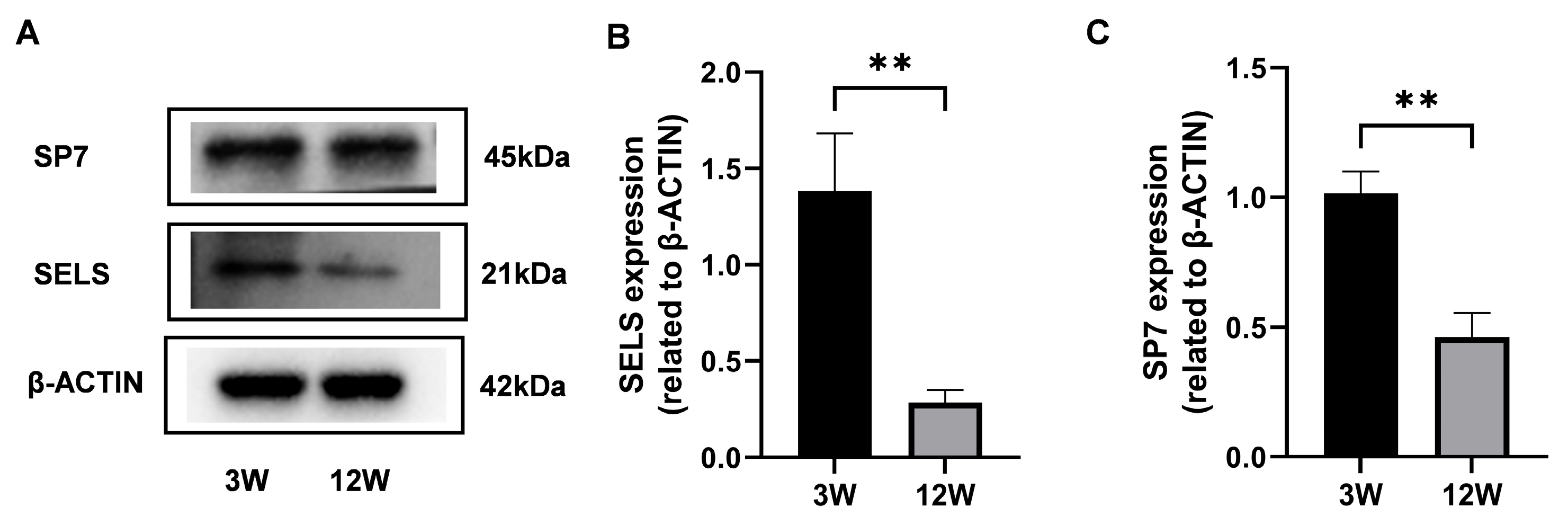 Cimb 47 00677 g001 Cimb 47 00677 g001