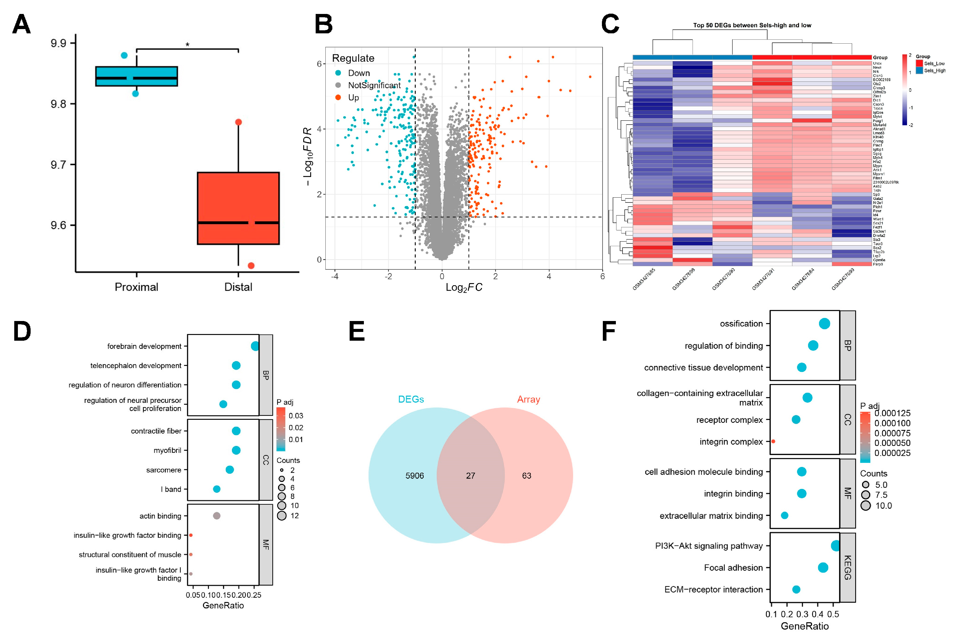 Cimb 47 00677 g002 Cimb 47 00677 g002