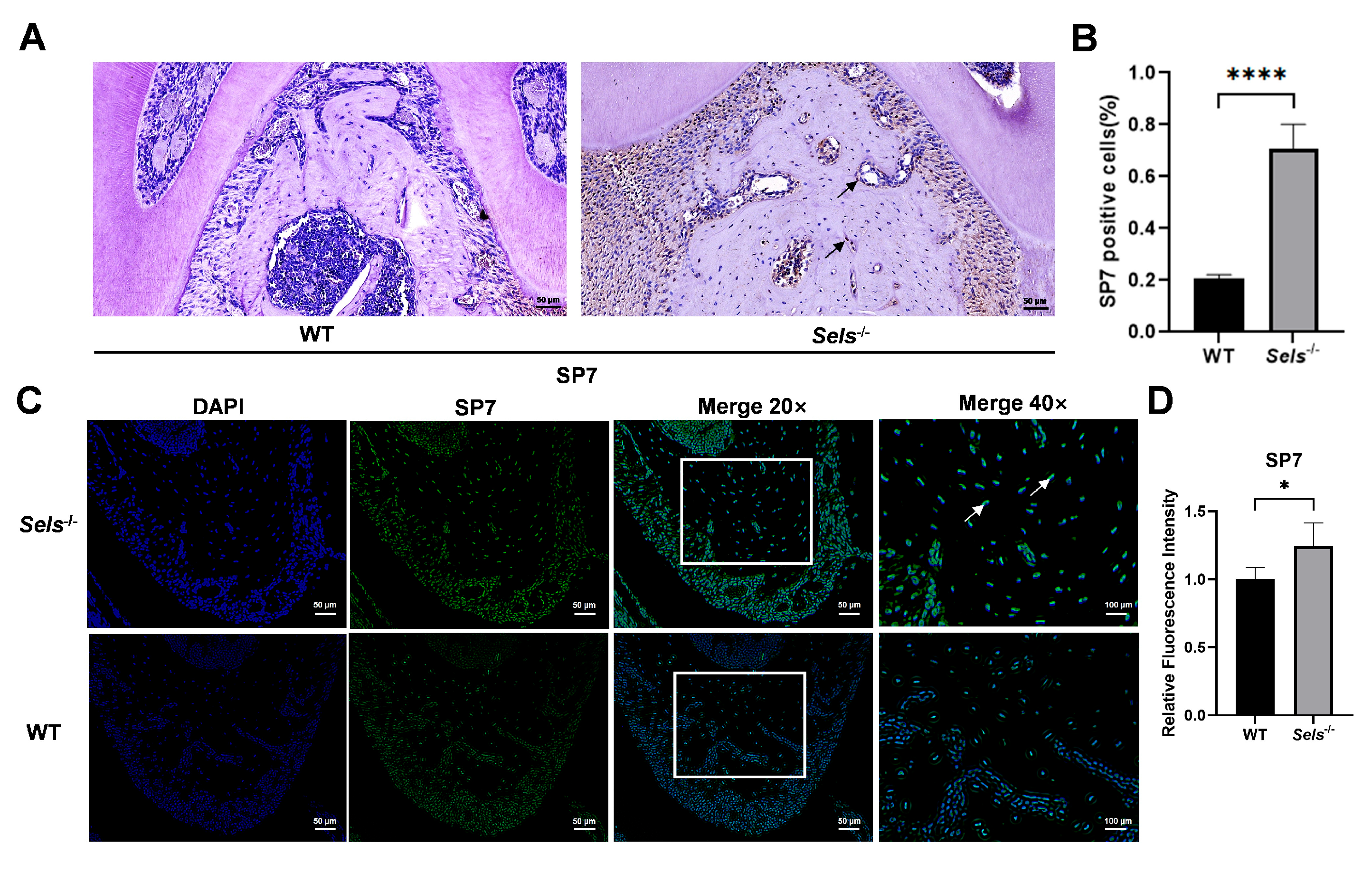 Cimb 47 00677 g003 Cimb 47 00677 g003