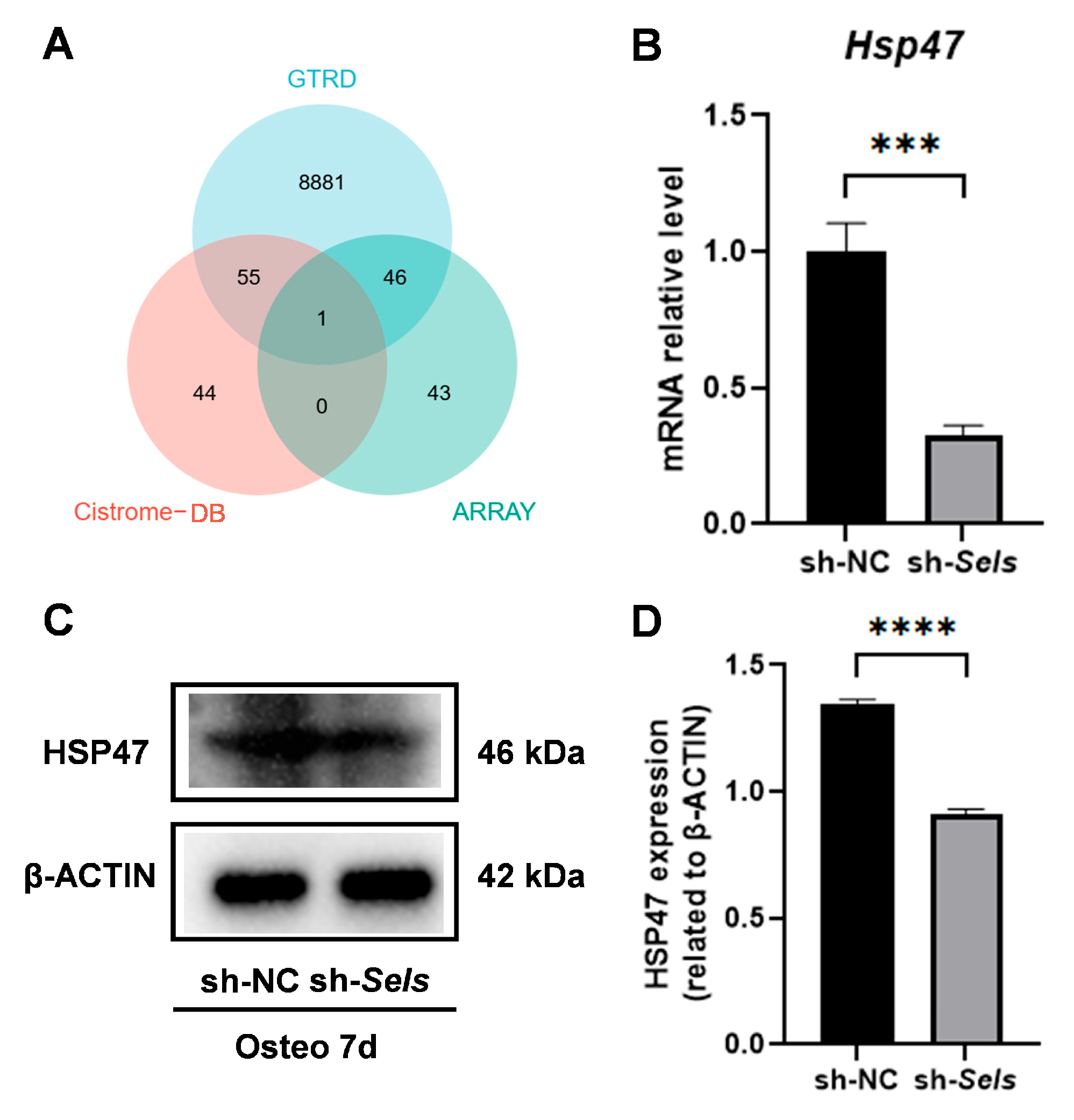Cimb 47 00677 g004 Cimb 47 00677 g004