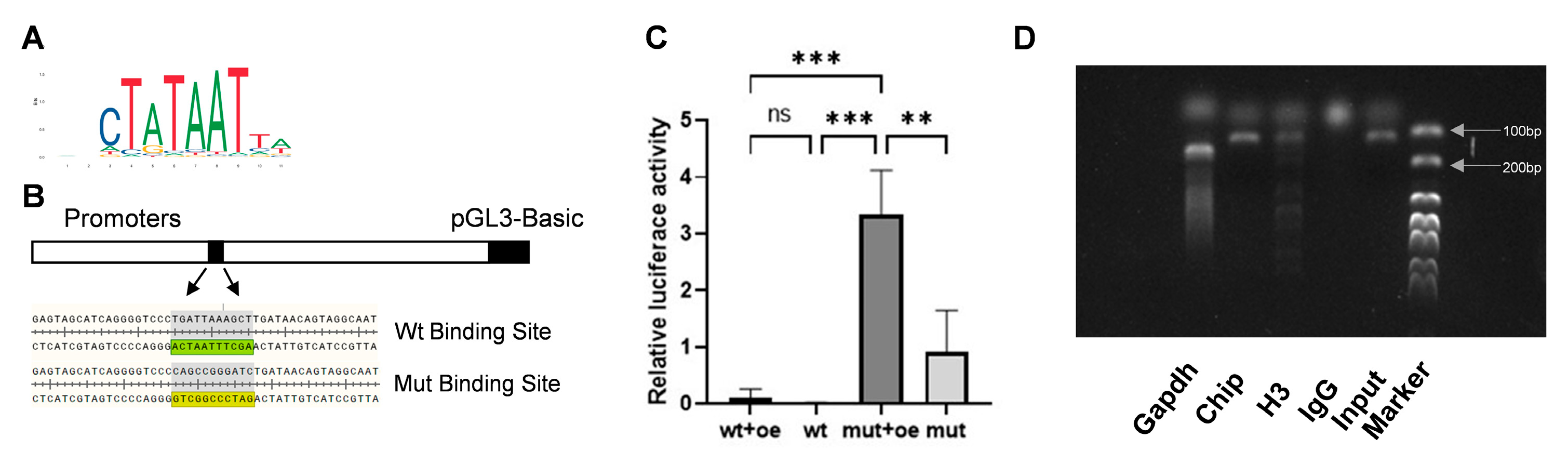 Cimb 47 00677 g005 Cimb 47 00677 g005