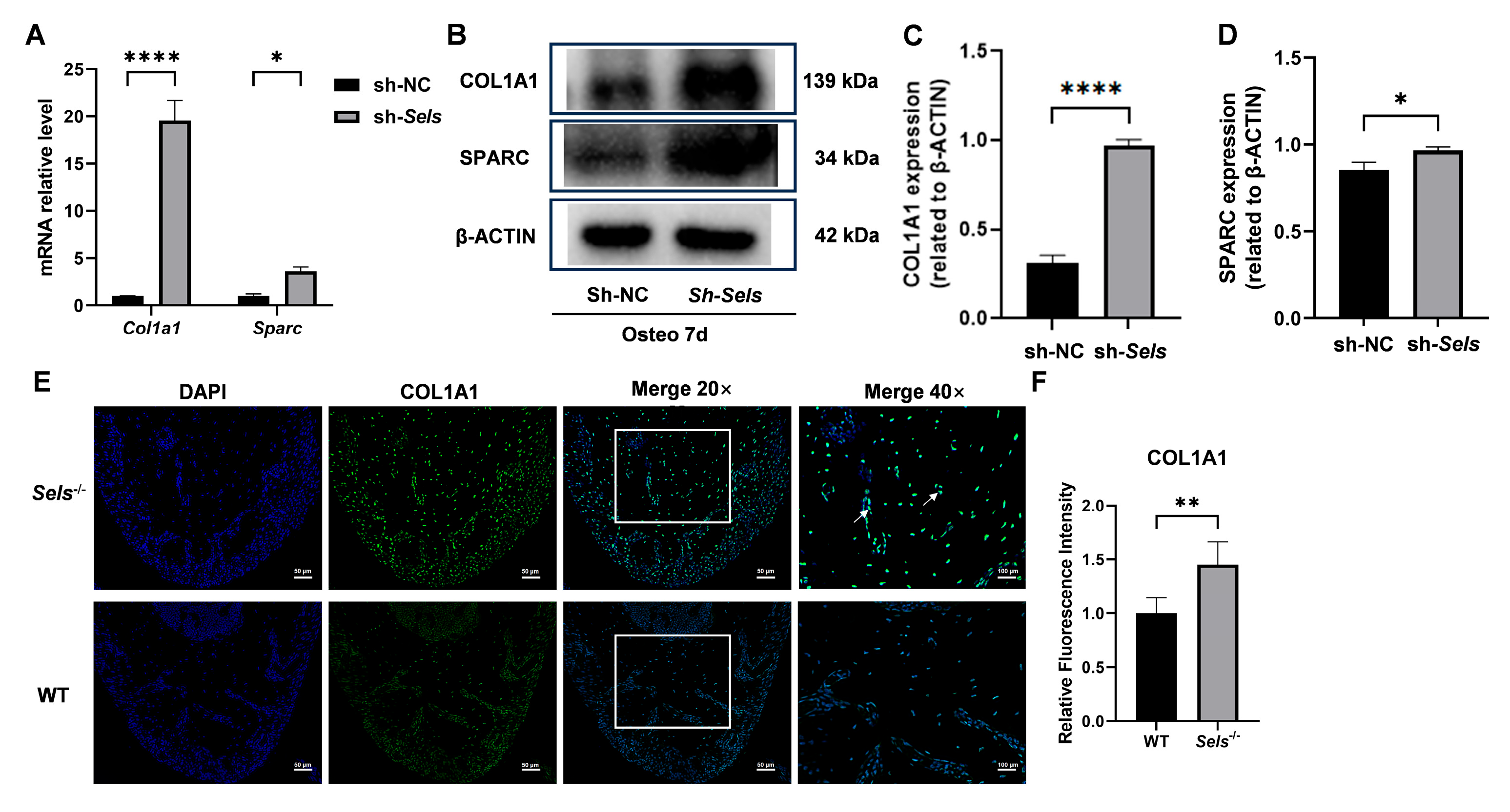 Cimb 47 00677 g006 Cimb 47 00677 g006