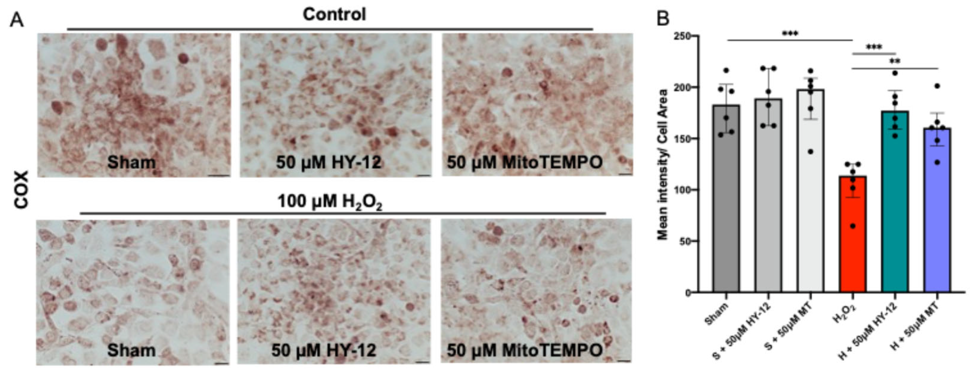 Cimb 47 00680 g007 Cimb 47 00680 g007
