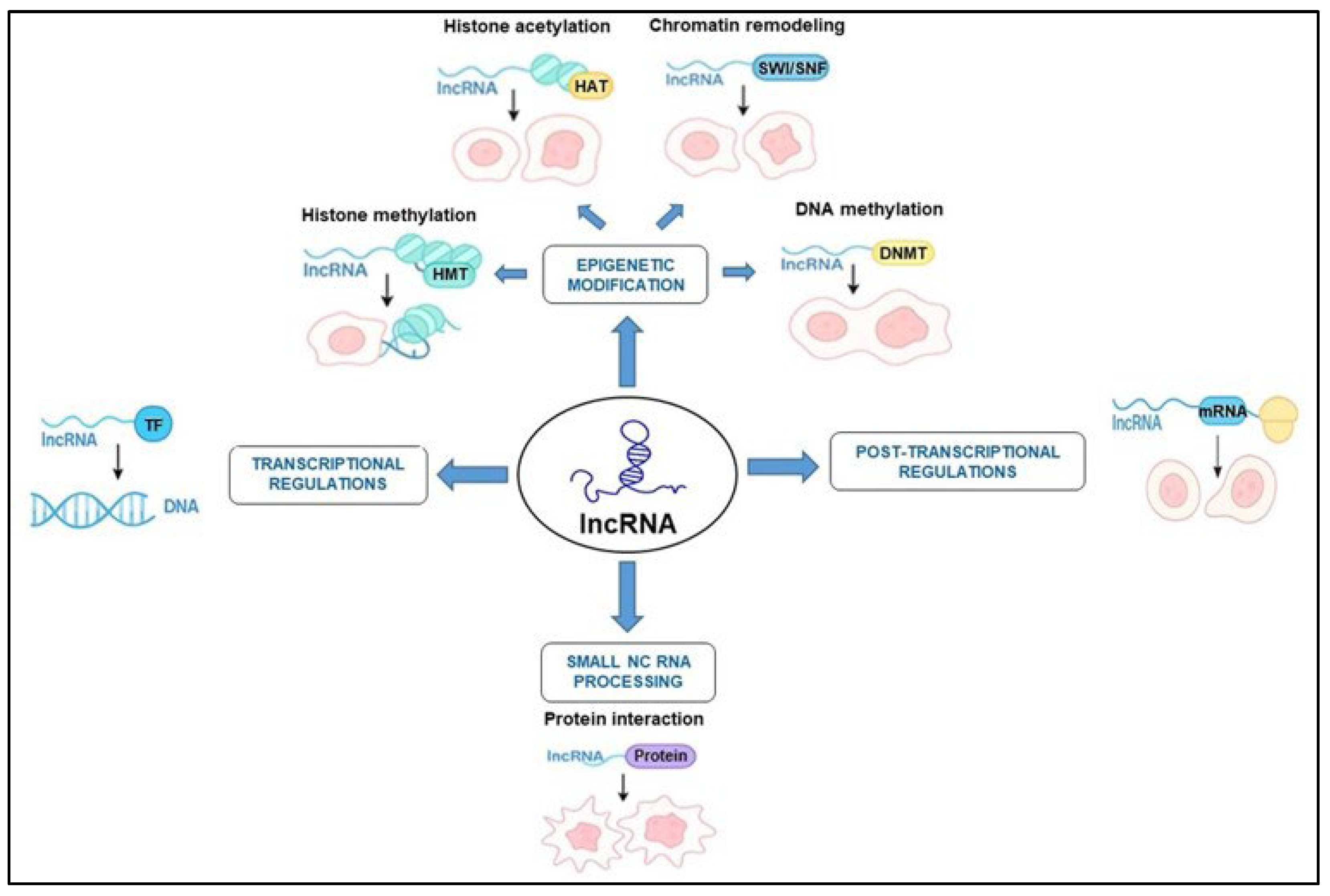 Cimb 47 00698 g001 Cimb 47 00698 g001