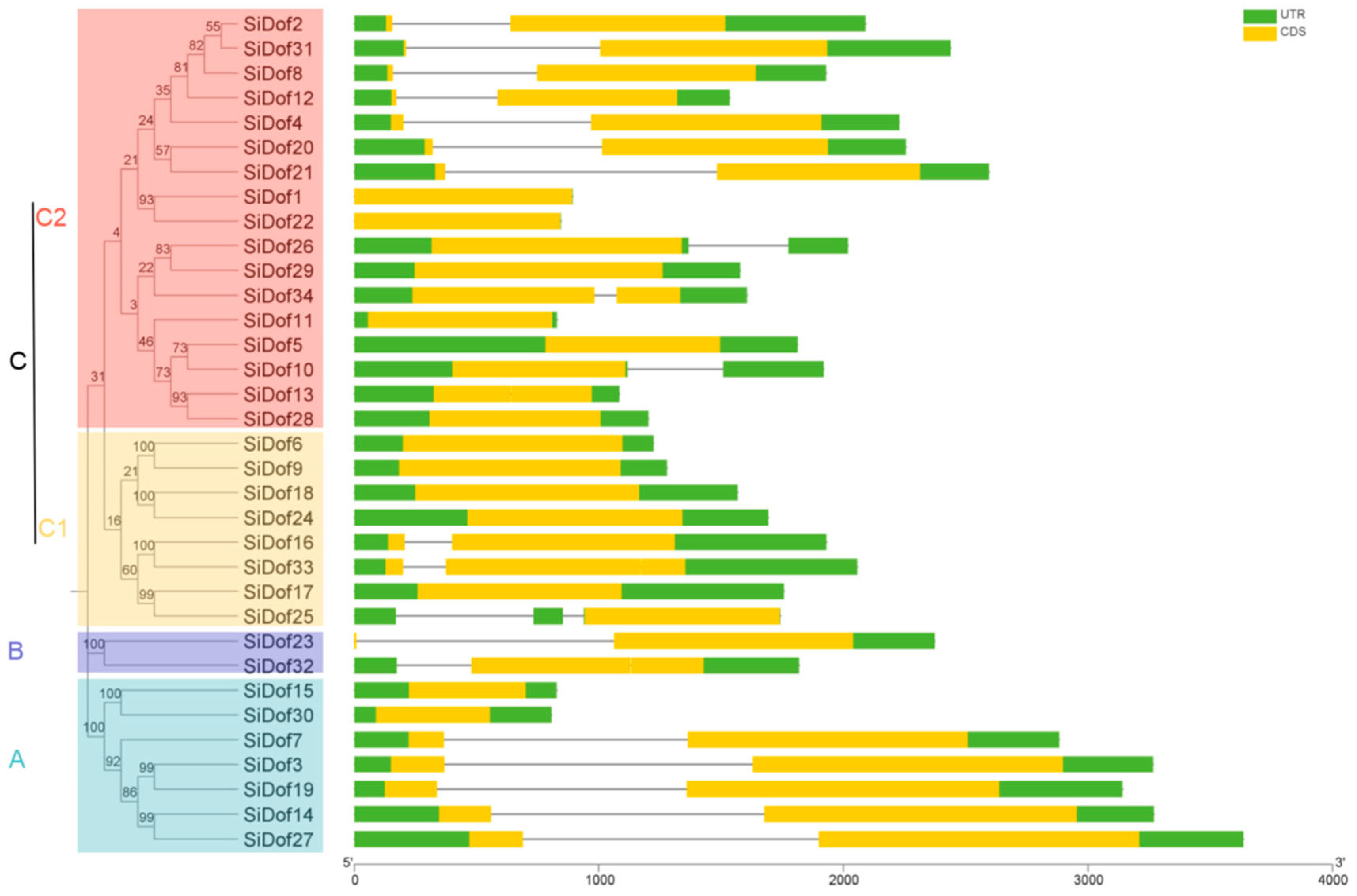 Cimb 47 00700 g001 Cimb 47 00700 g001