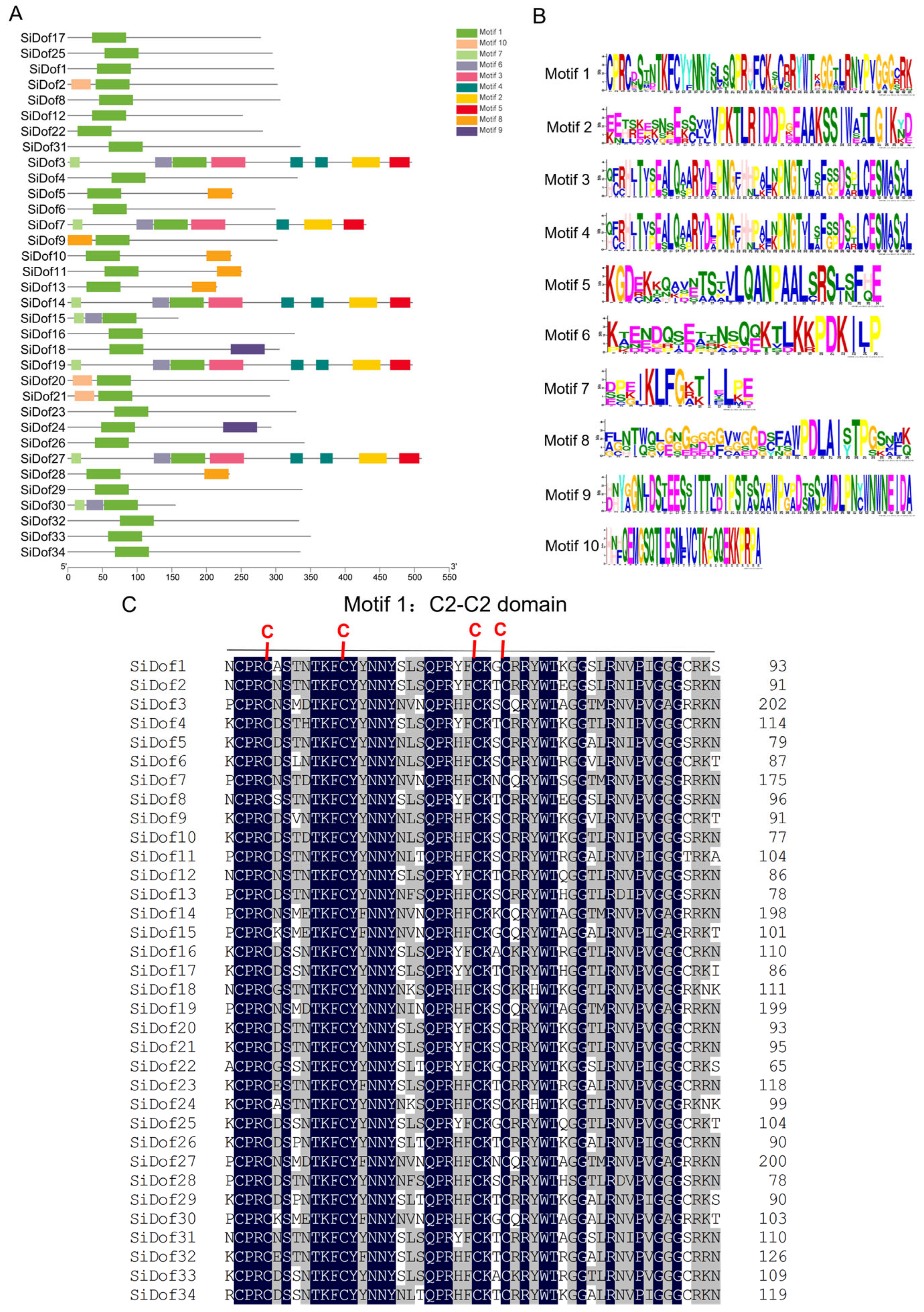 Cimb 47 00700 g002 Cimb 47 00700 g002