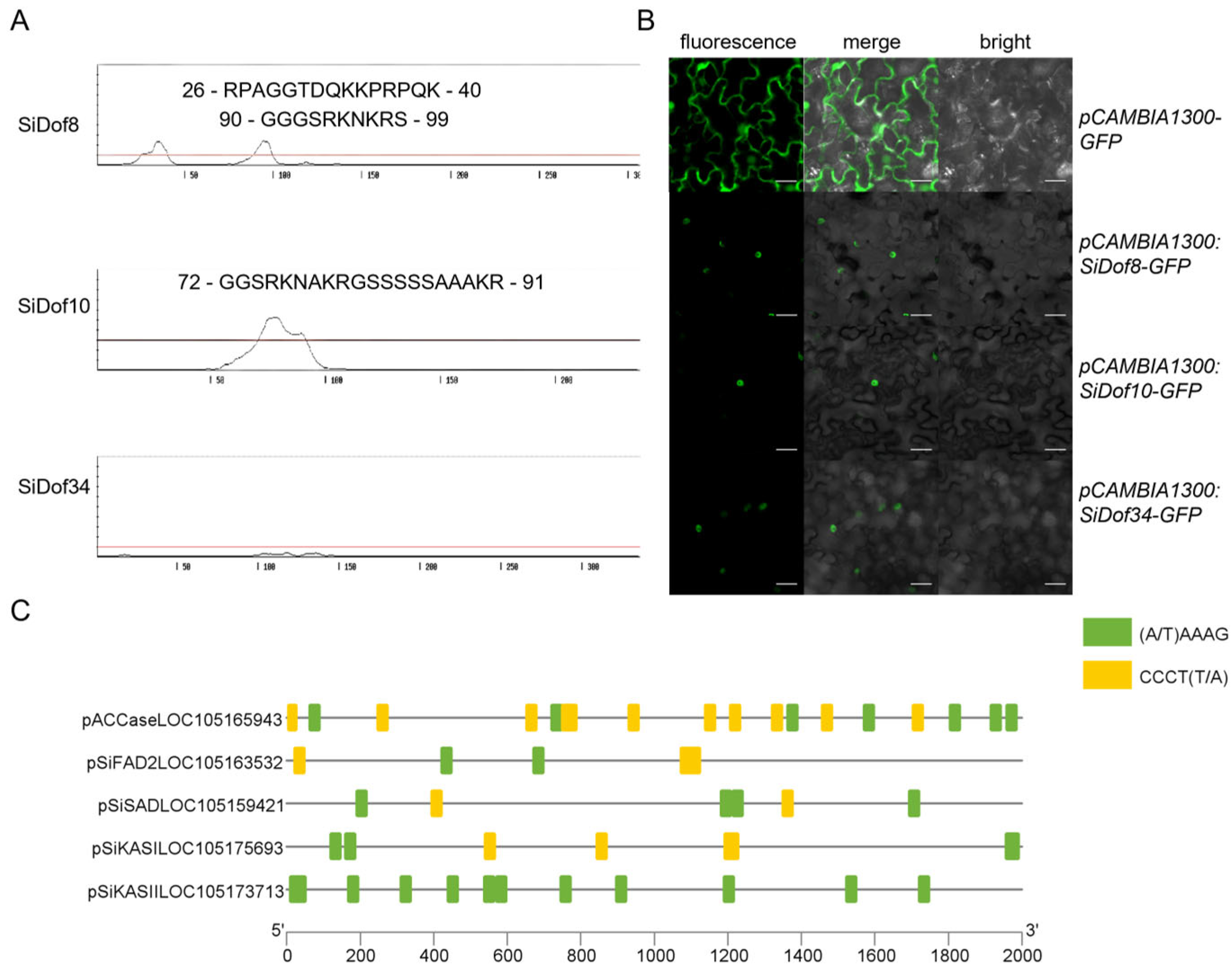 Cimb 47 00700 g004 Cimb 47 00700 g004